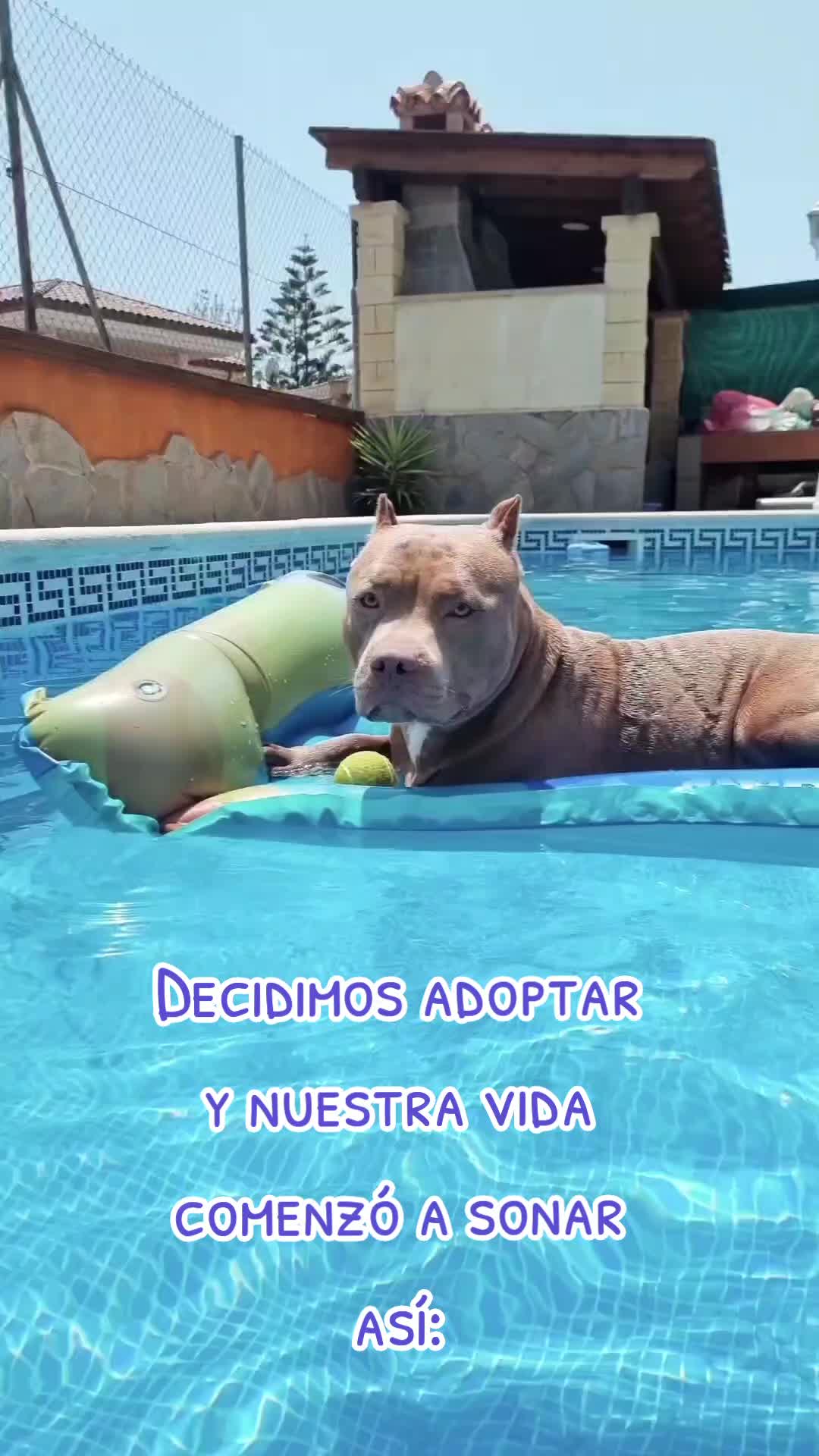 @Alejandra