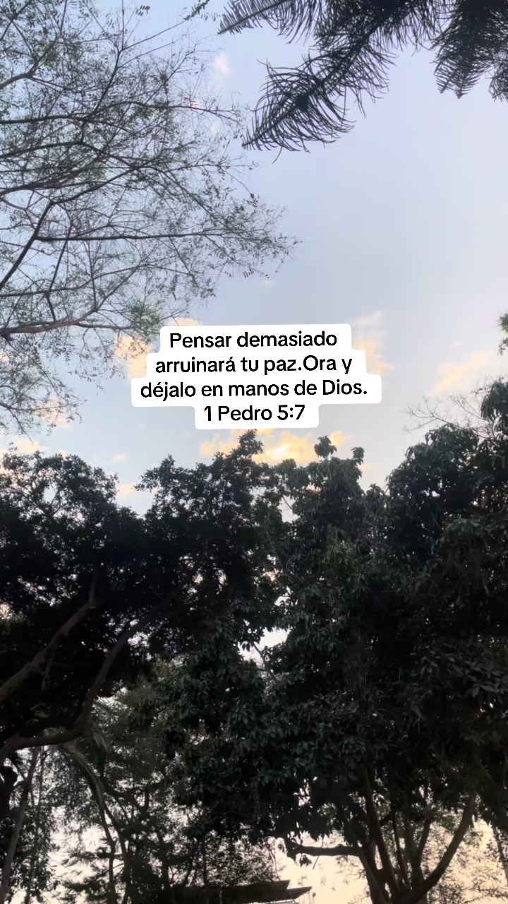 @luzbelizario