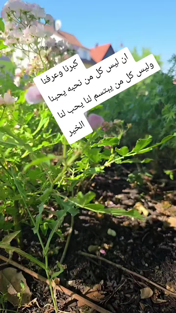 @Word Alnuaimi