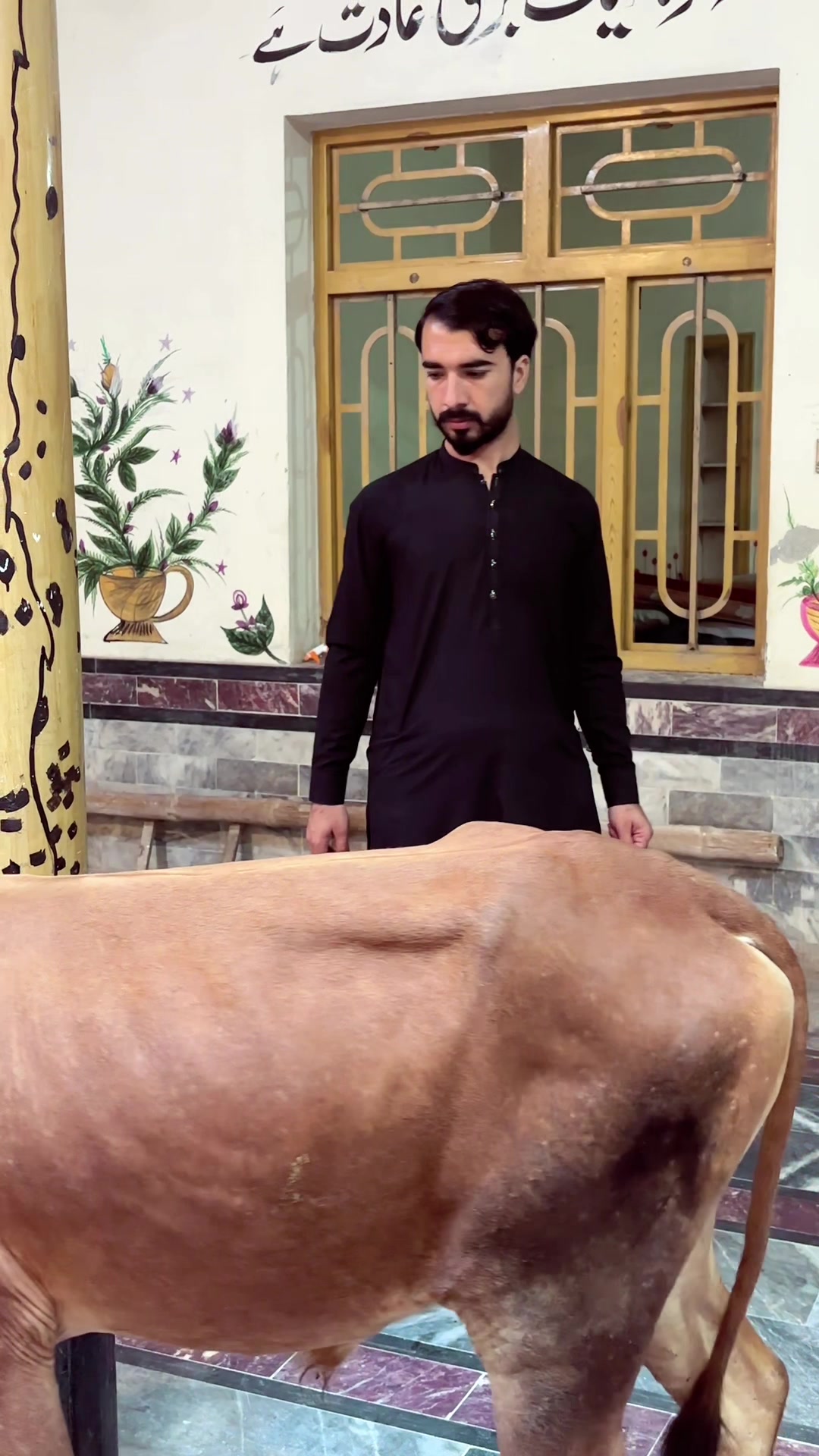@Shifa Welfare Foundation Pak