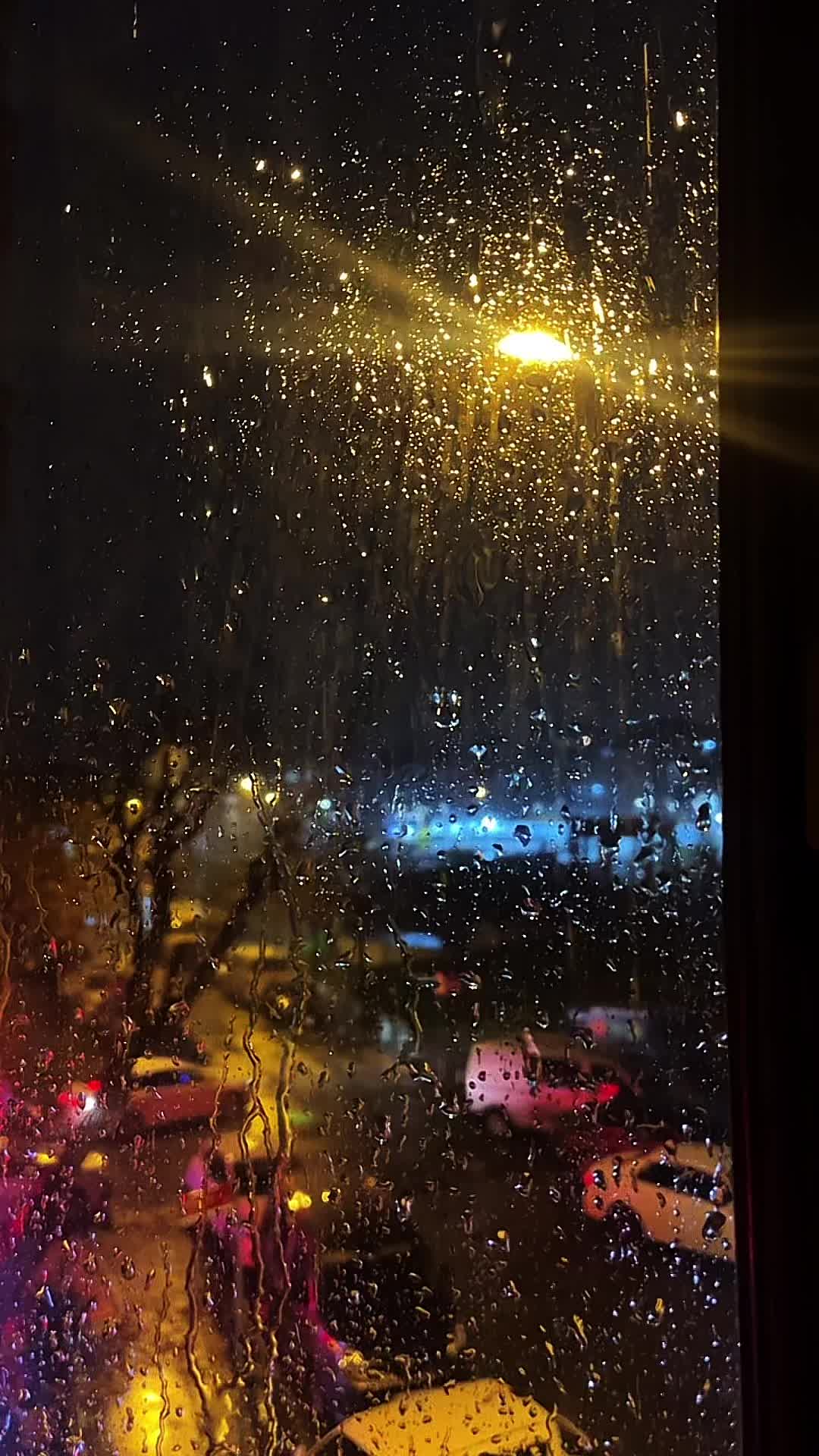 @Ayşegüllll🐣