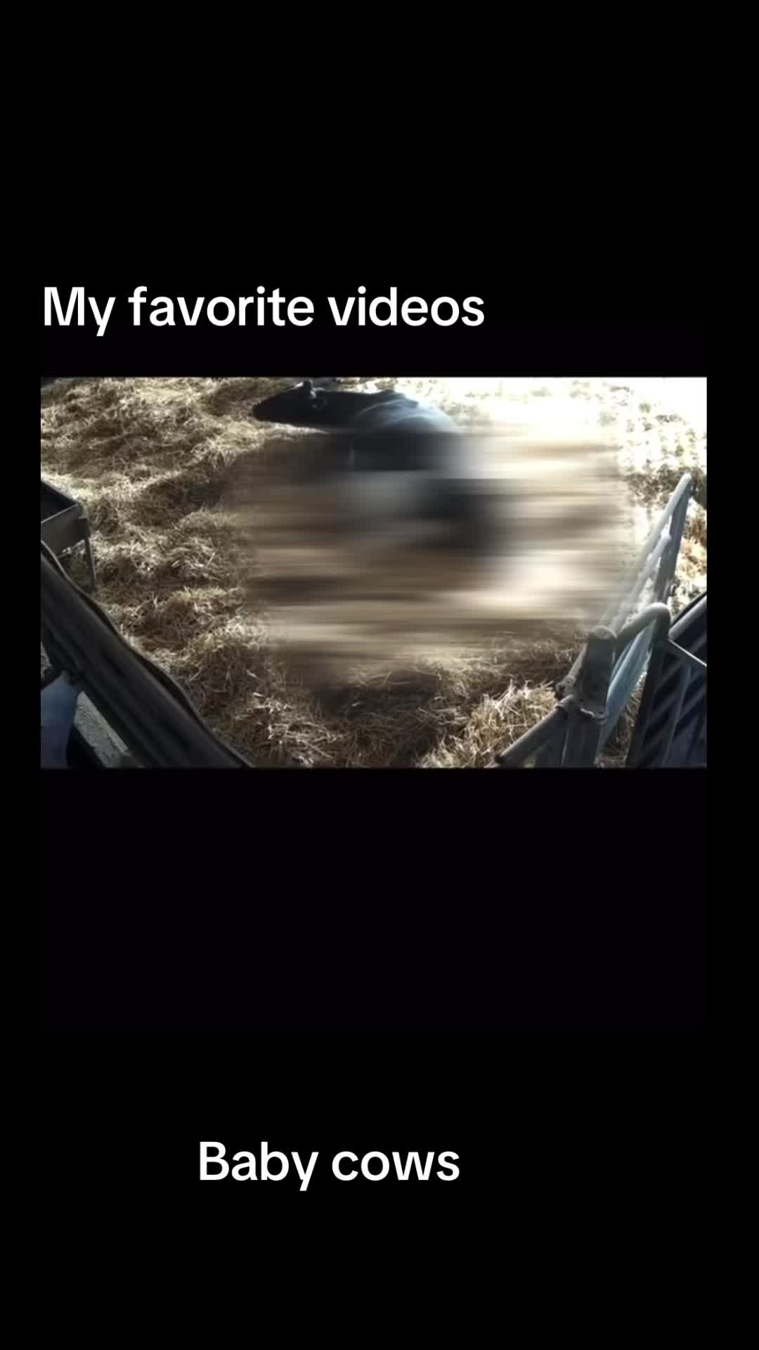@my favorite videos