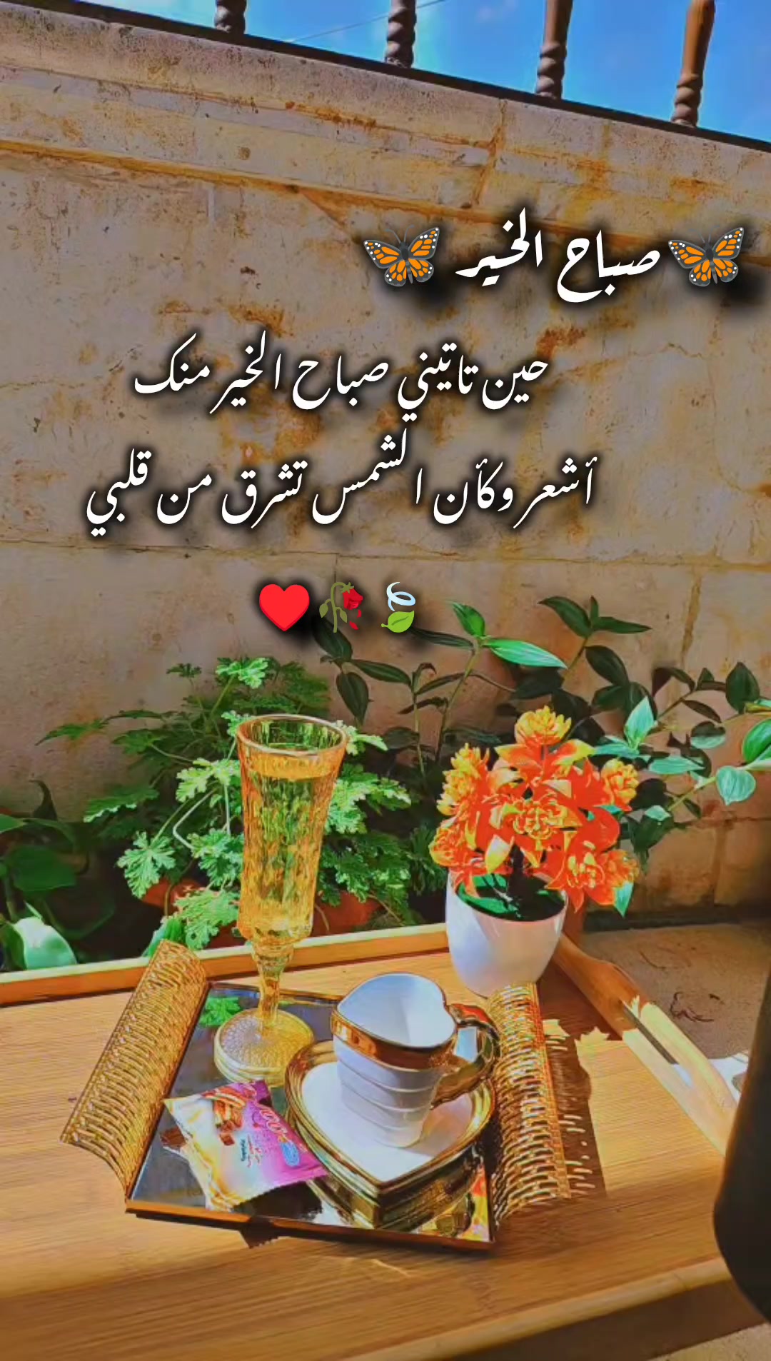 @عبير الورد🍃❤️