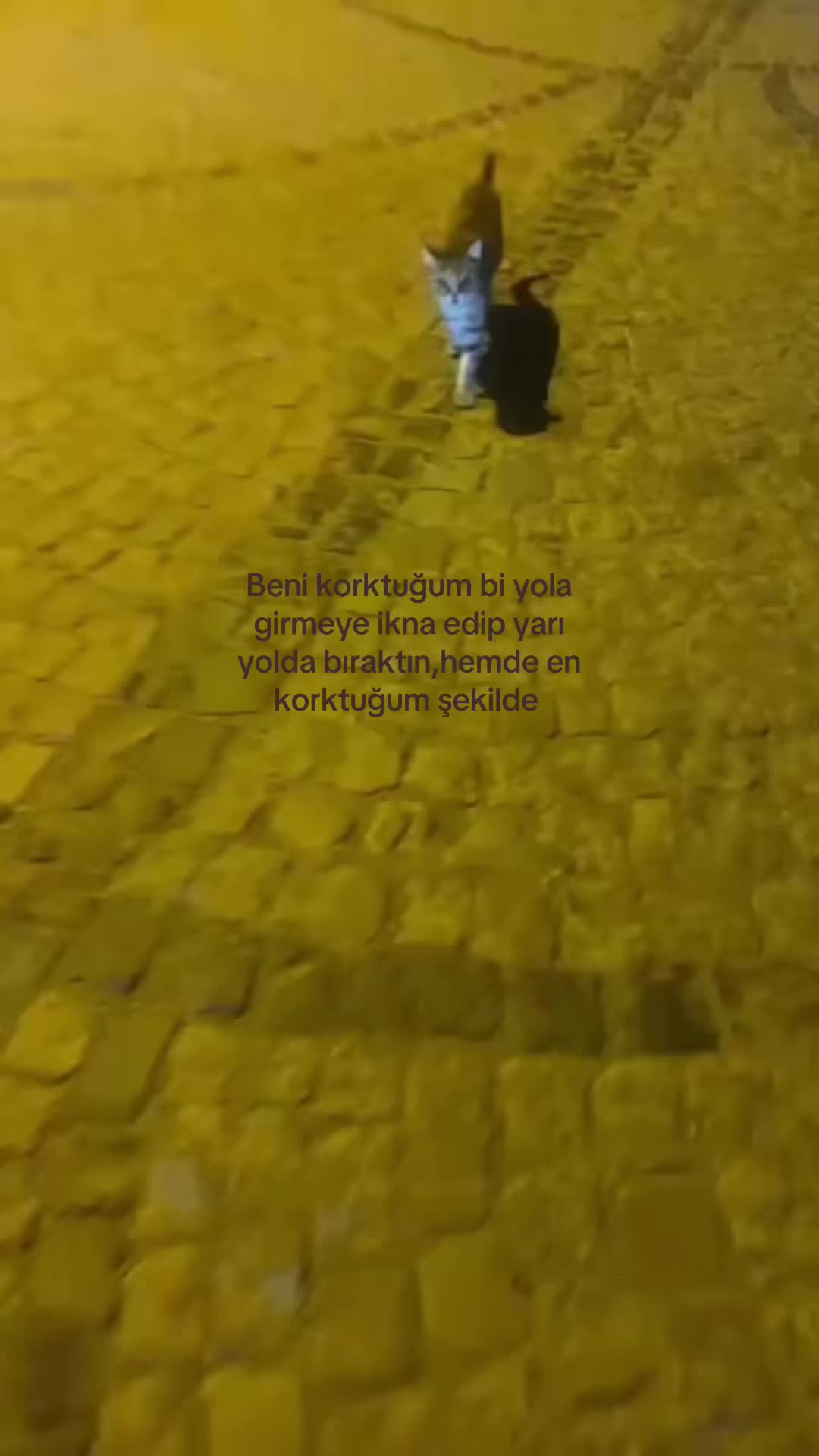 @❦