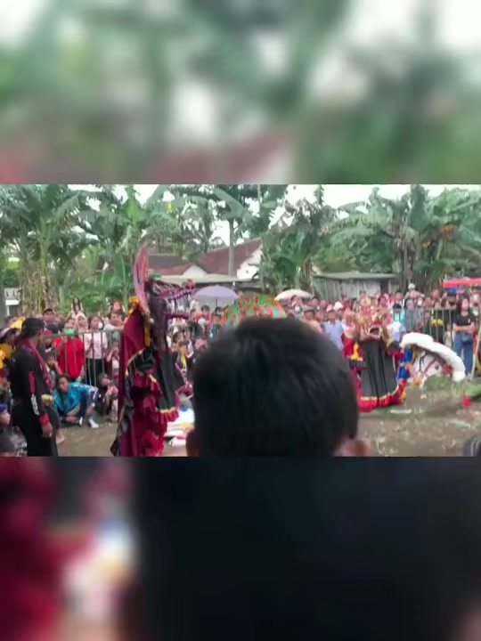 @budaya jawa barongan
