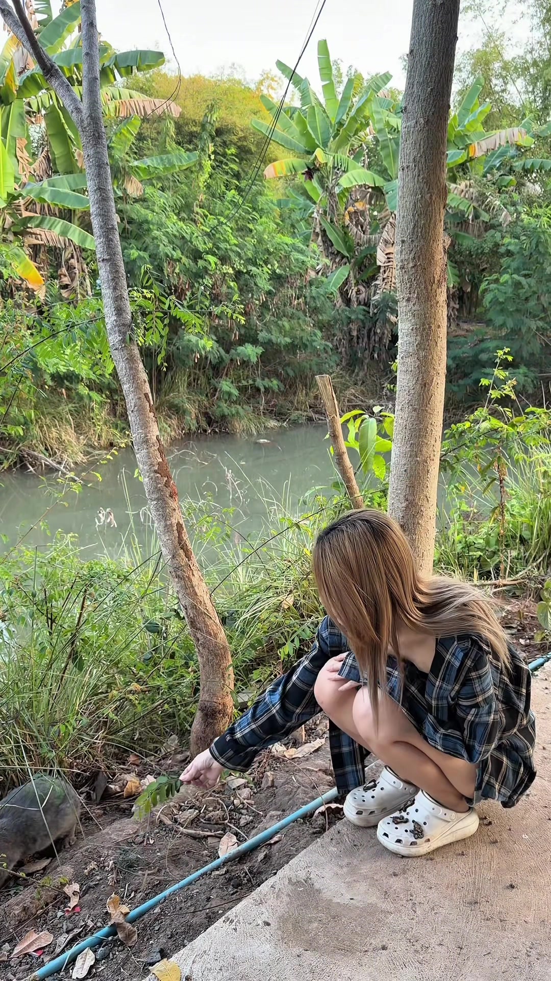 @MejiSuperRooKie