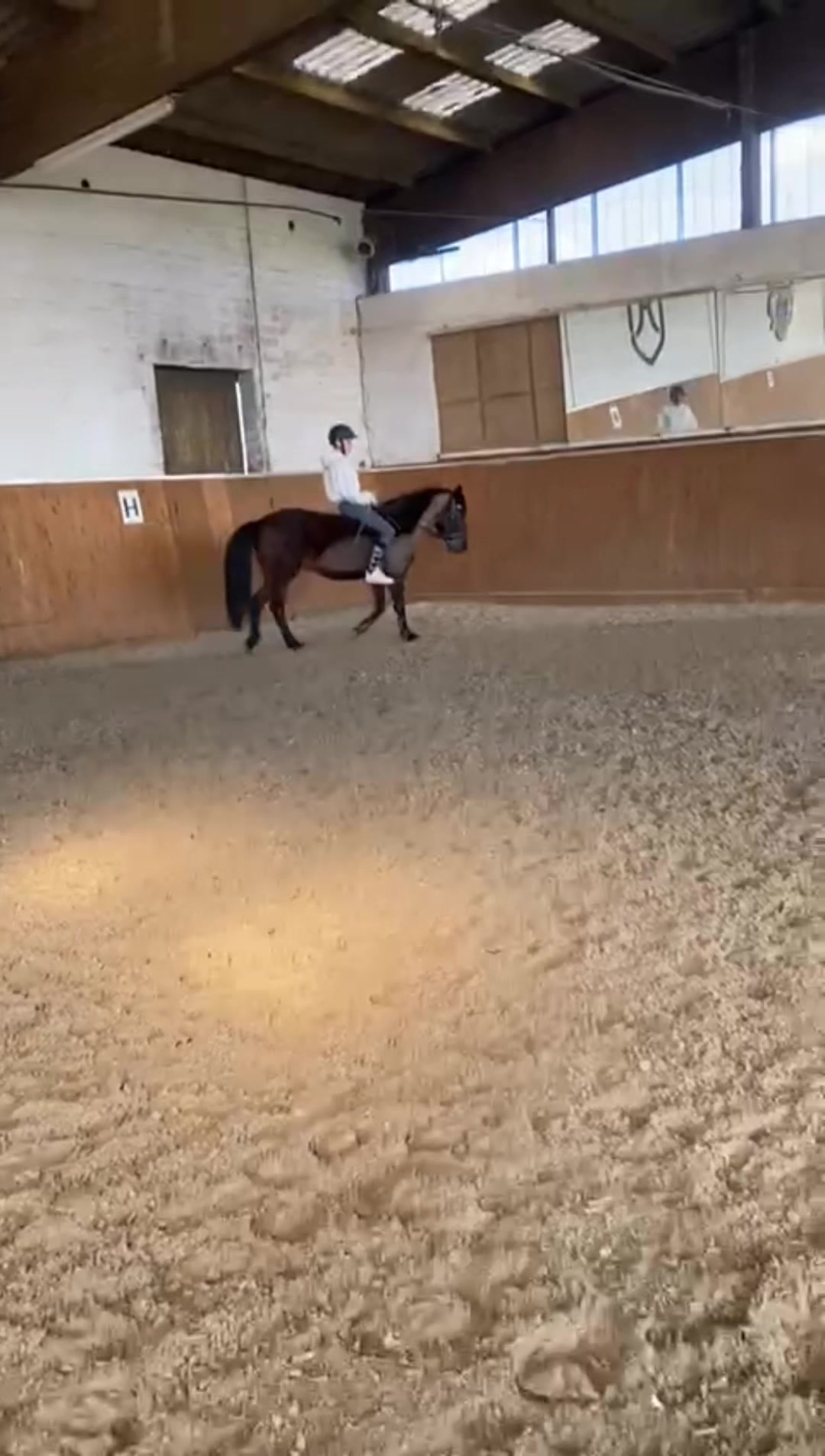@Mooni & Vanessa 🐴