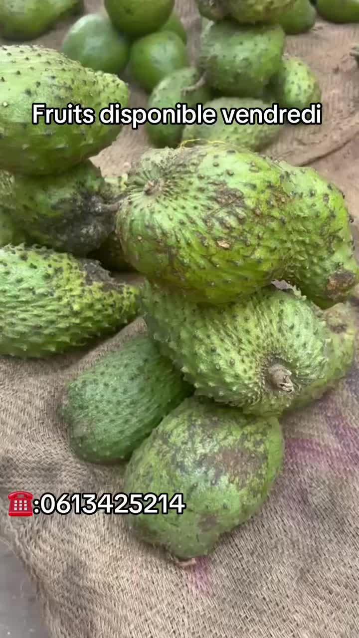 @kongoracines