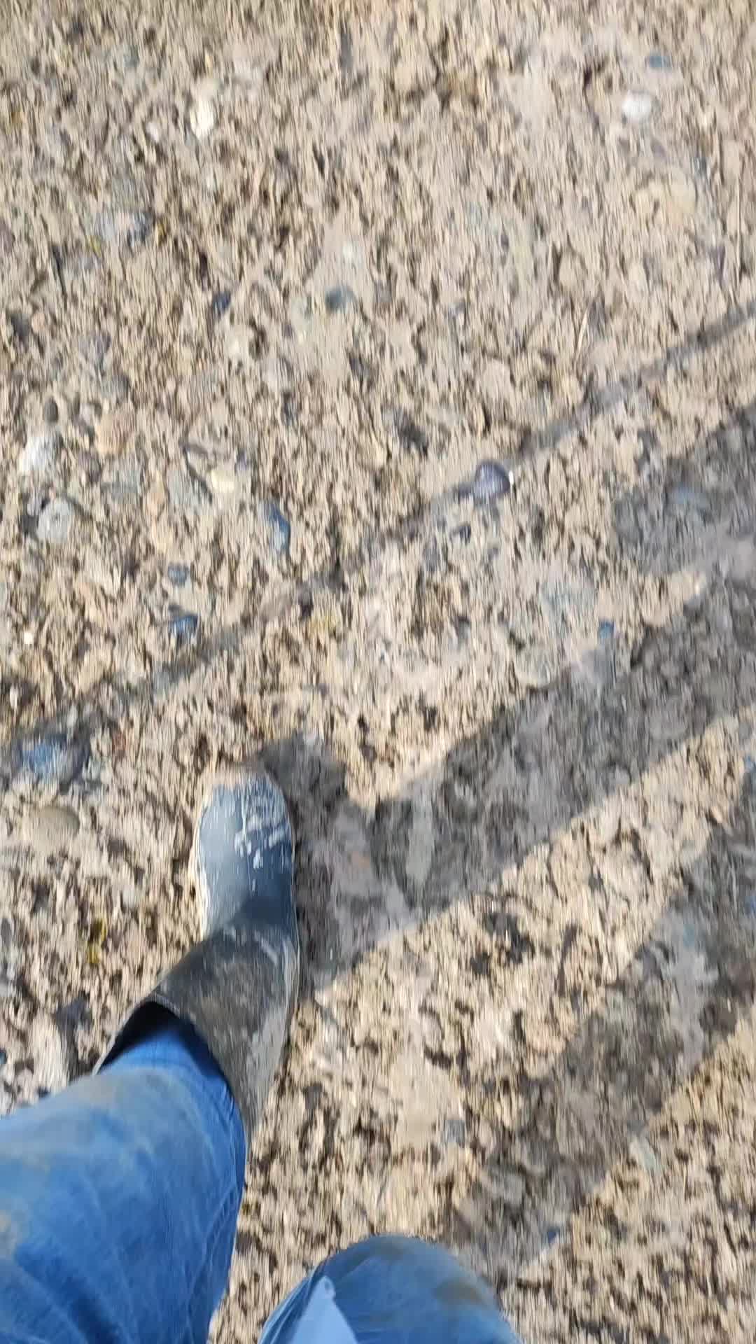 @Vəli Baba