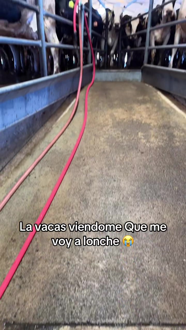 @Yovane Ambriz