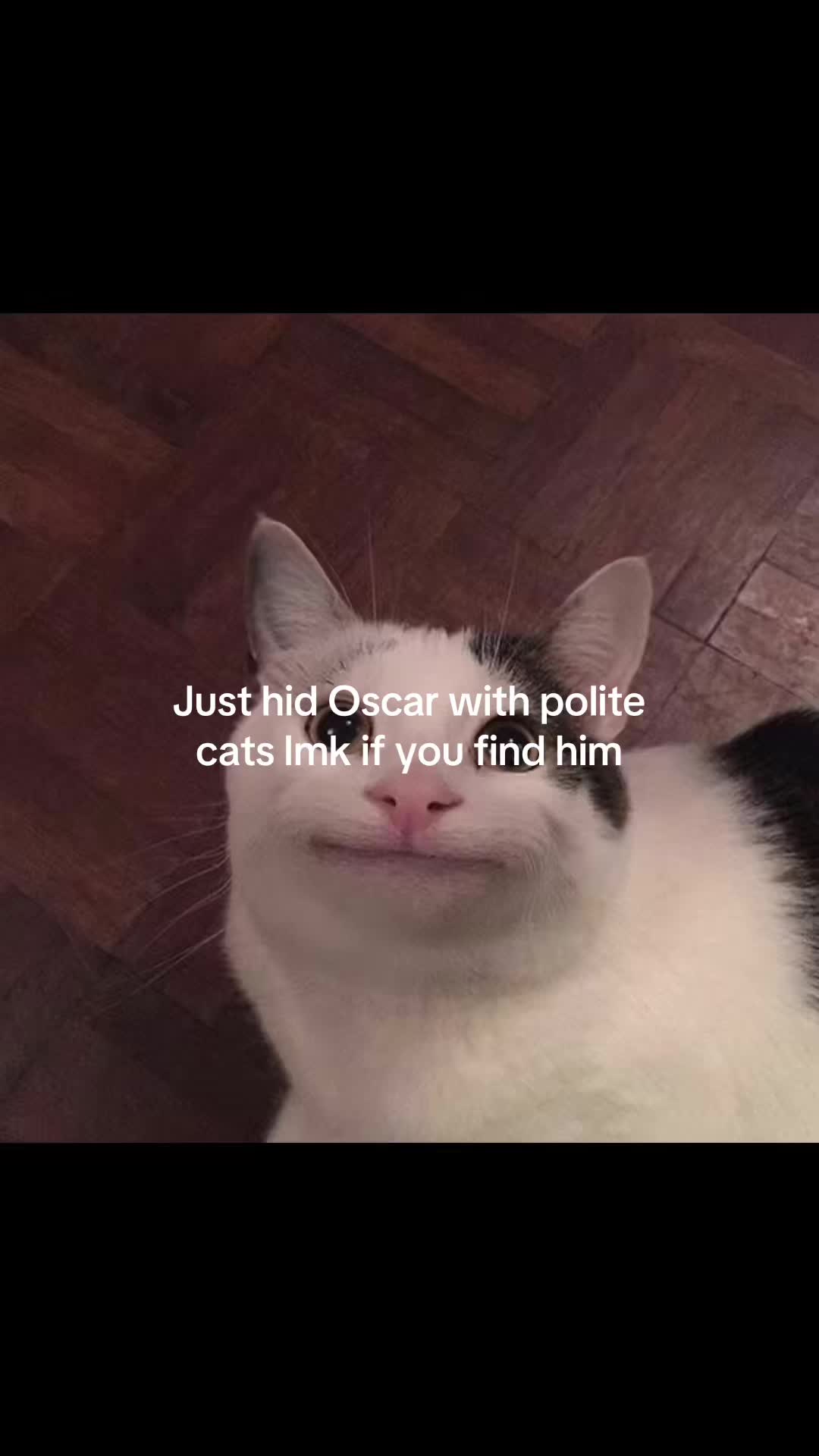 @amber 🏎️🫶