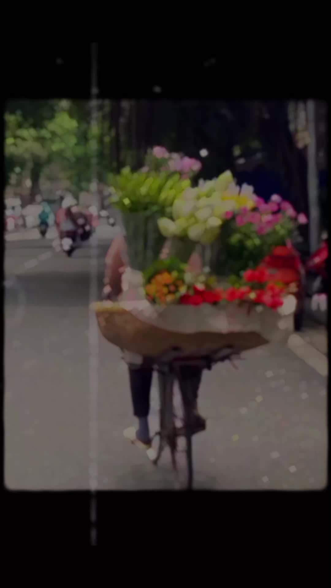 @『 रा हुल ꪝ&alpha;፝֟』