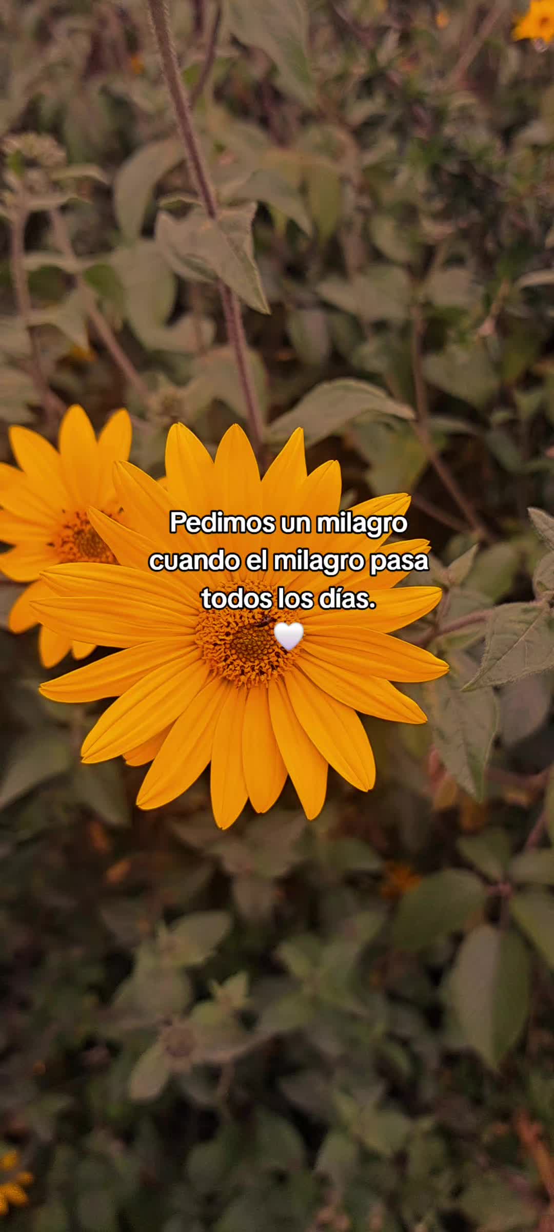 @MarI 🌺