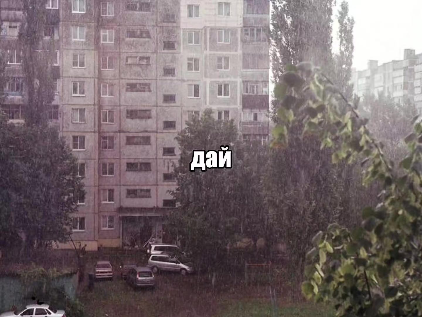 @𝐓𝐑𝐈𝐁𝐋𝐄𝐗