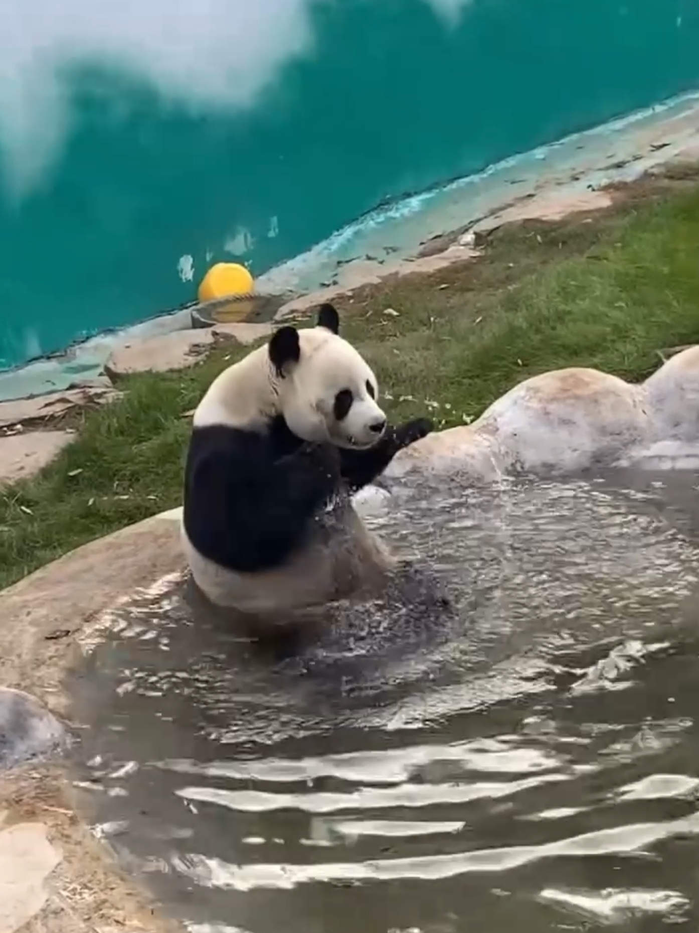 @PandaHut