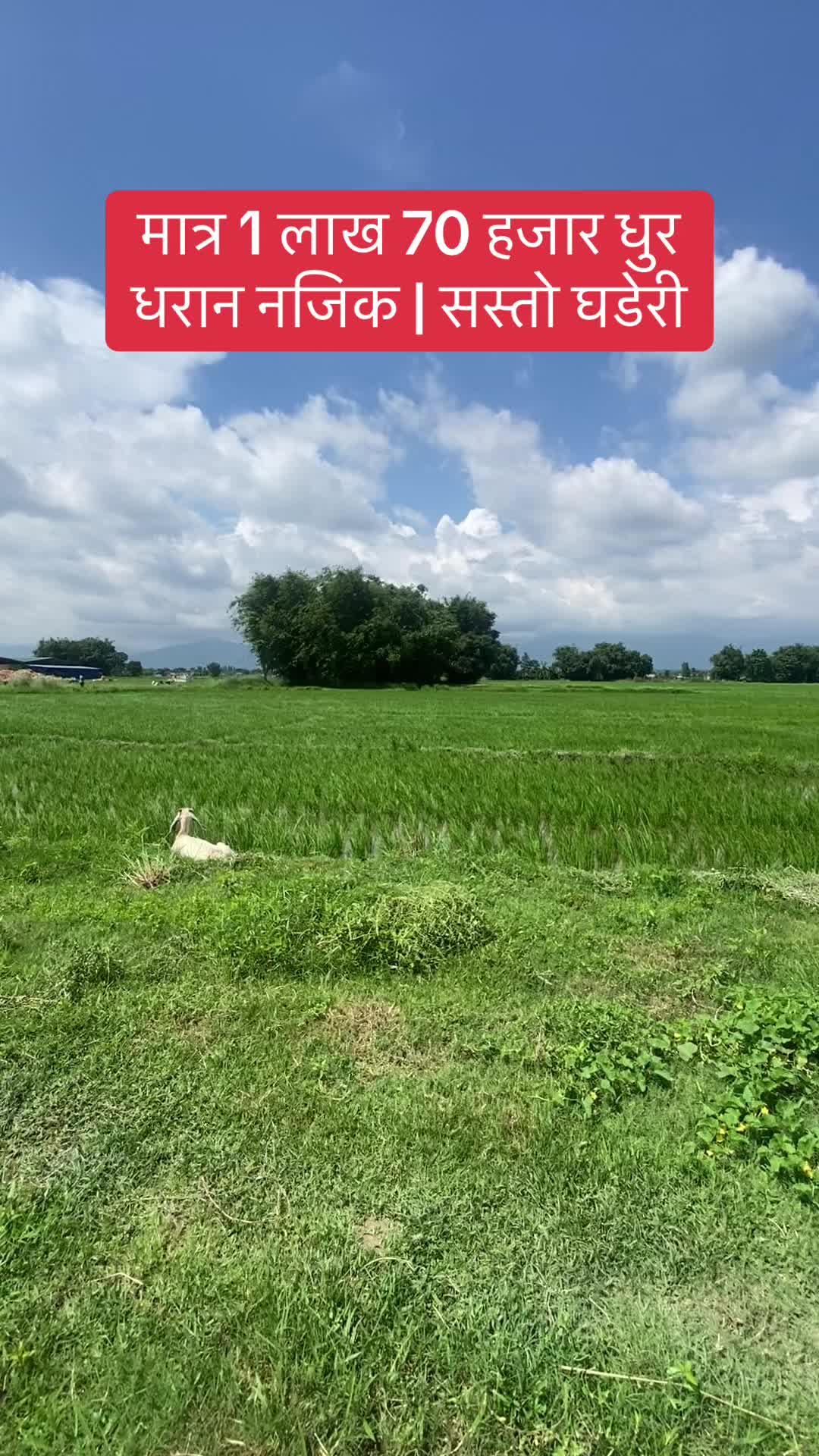 @Bhuban Thapa Real Estate