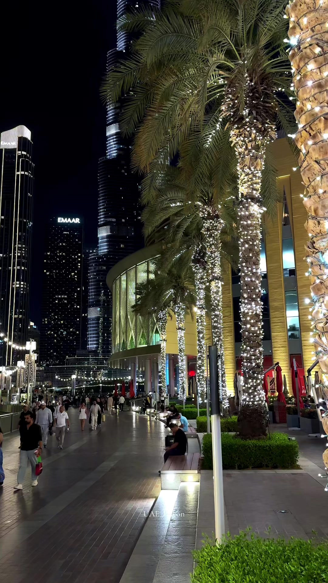 @UAE_Falcon