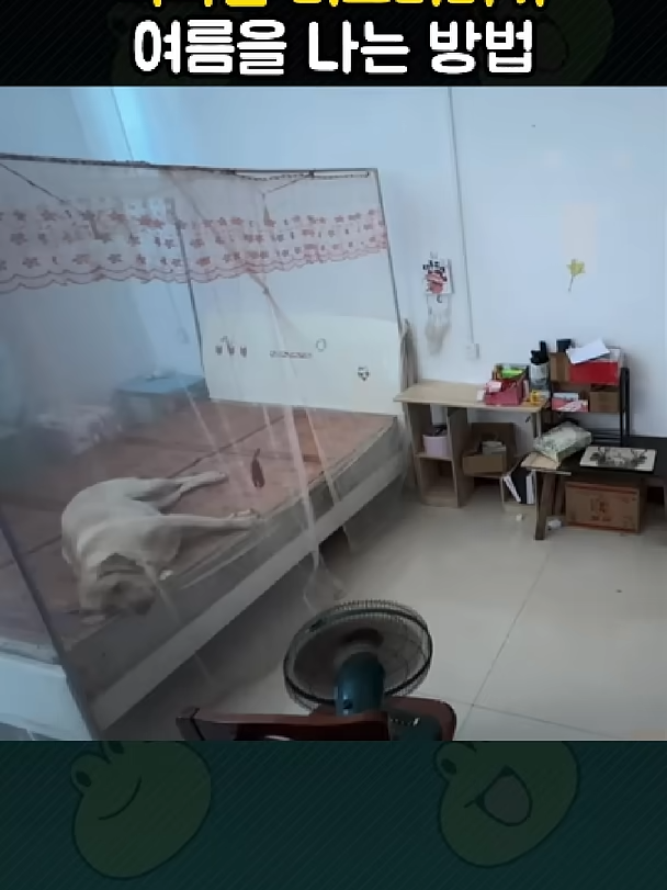 @개블리