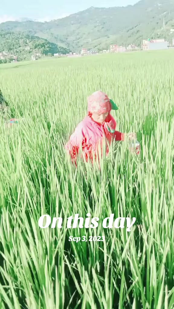 @ritakhadka💚🖤