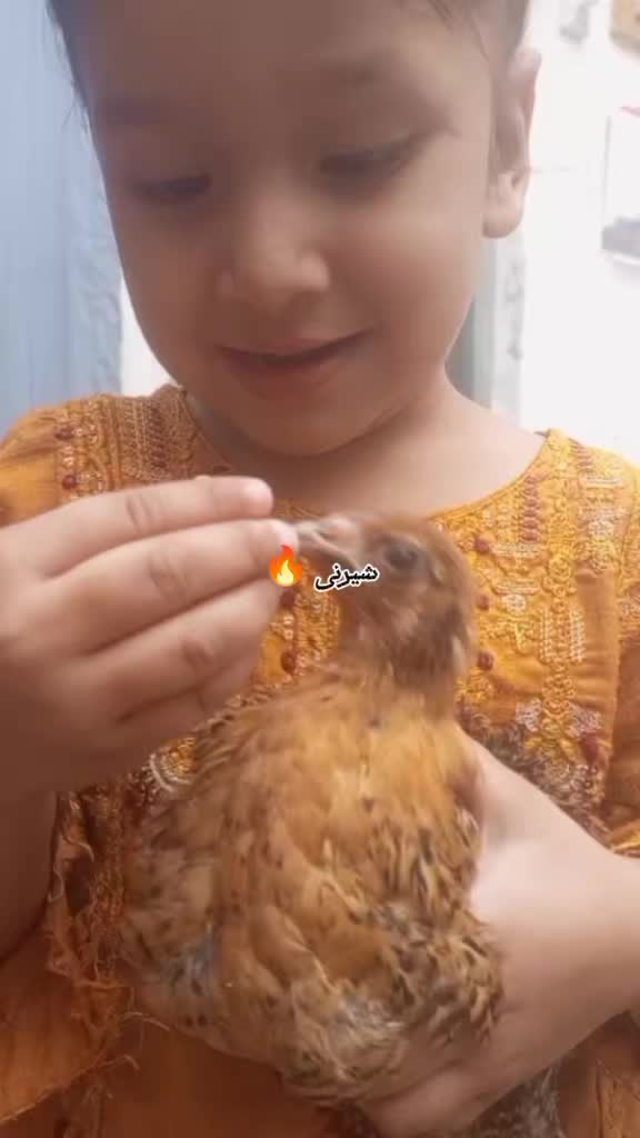 @Nakhro🤨