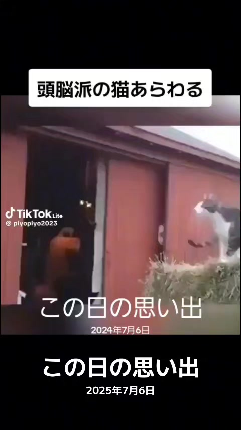 @⚜️🕌⚛️クロッケン⚛️🕌⚜️
