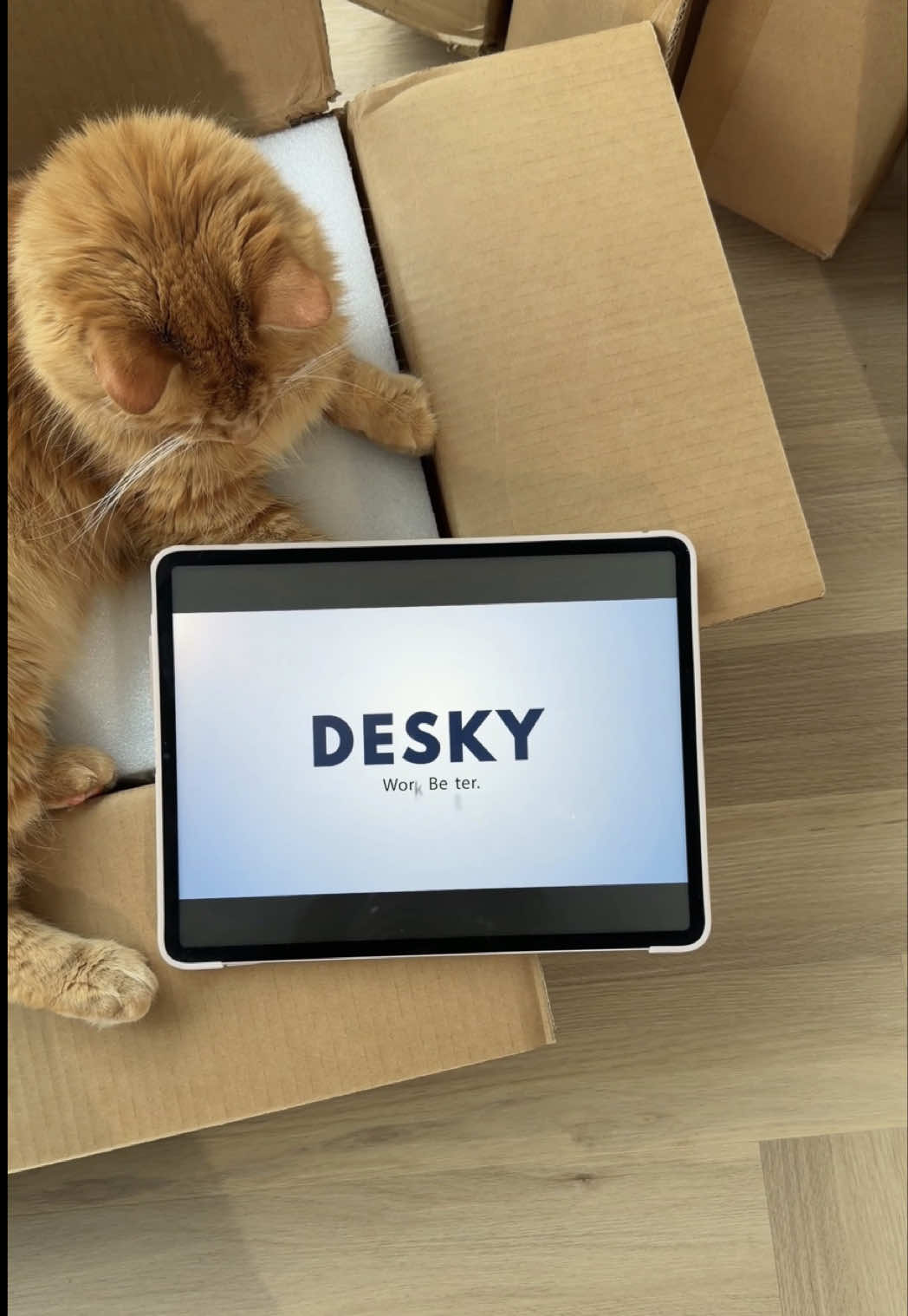 @Desky Sit Stand Desks