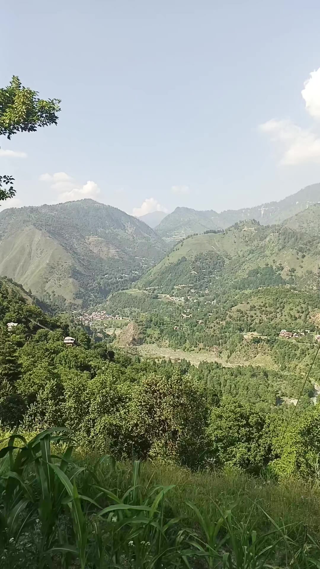 @✌️🥰کشمیری شہزادہ 🔥