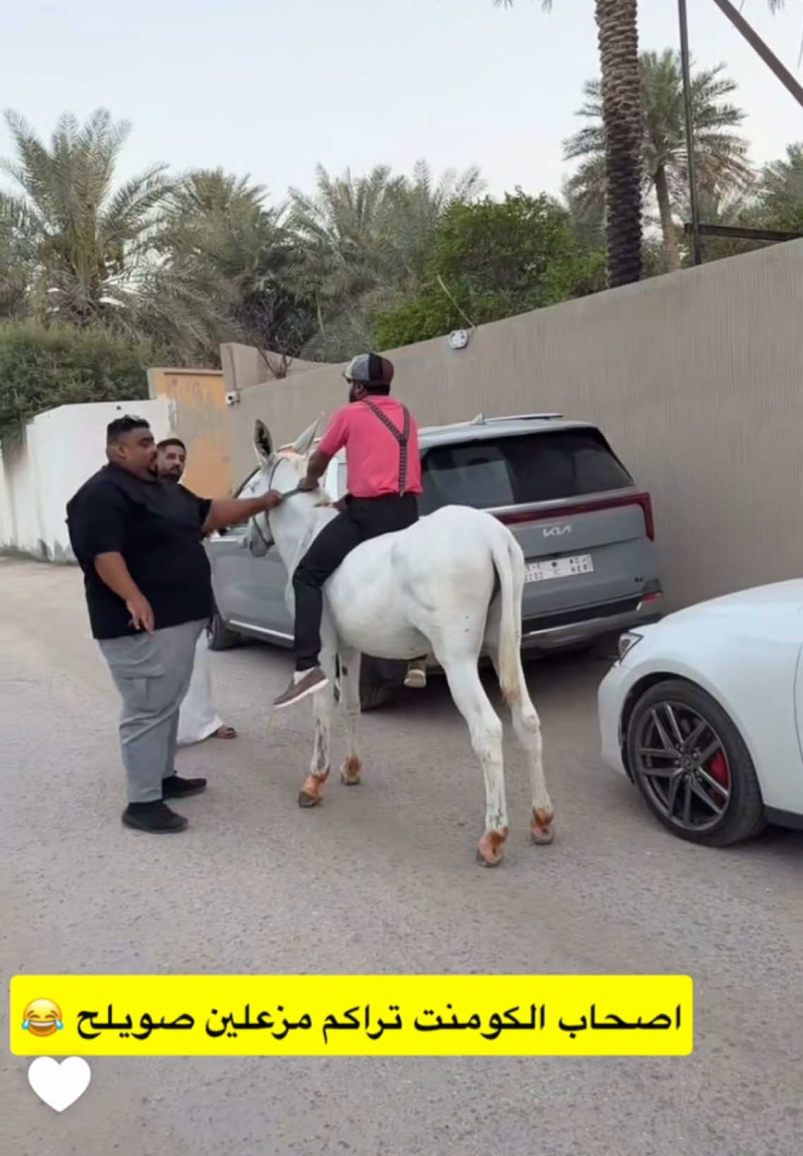 @﮼غزال 🦌 (﮼فانز ﮼ابوريان 🍁)