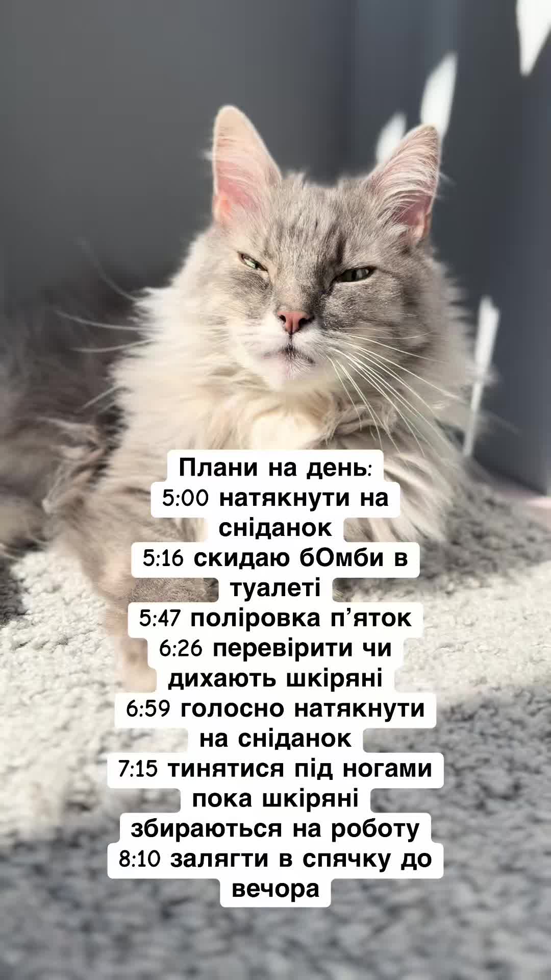 @timka.kit