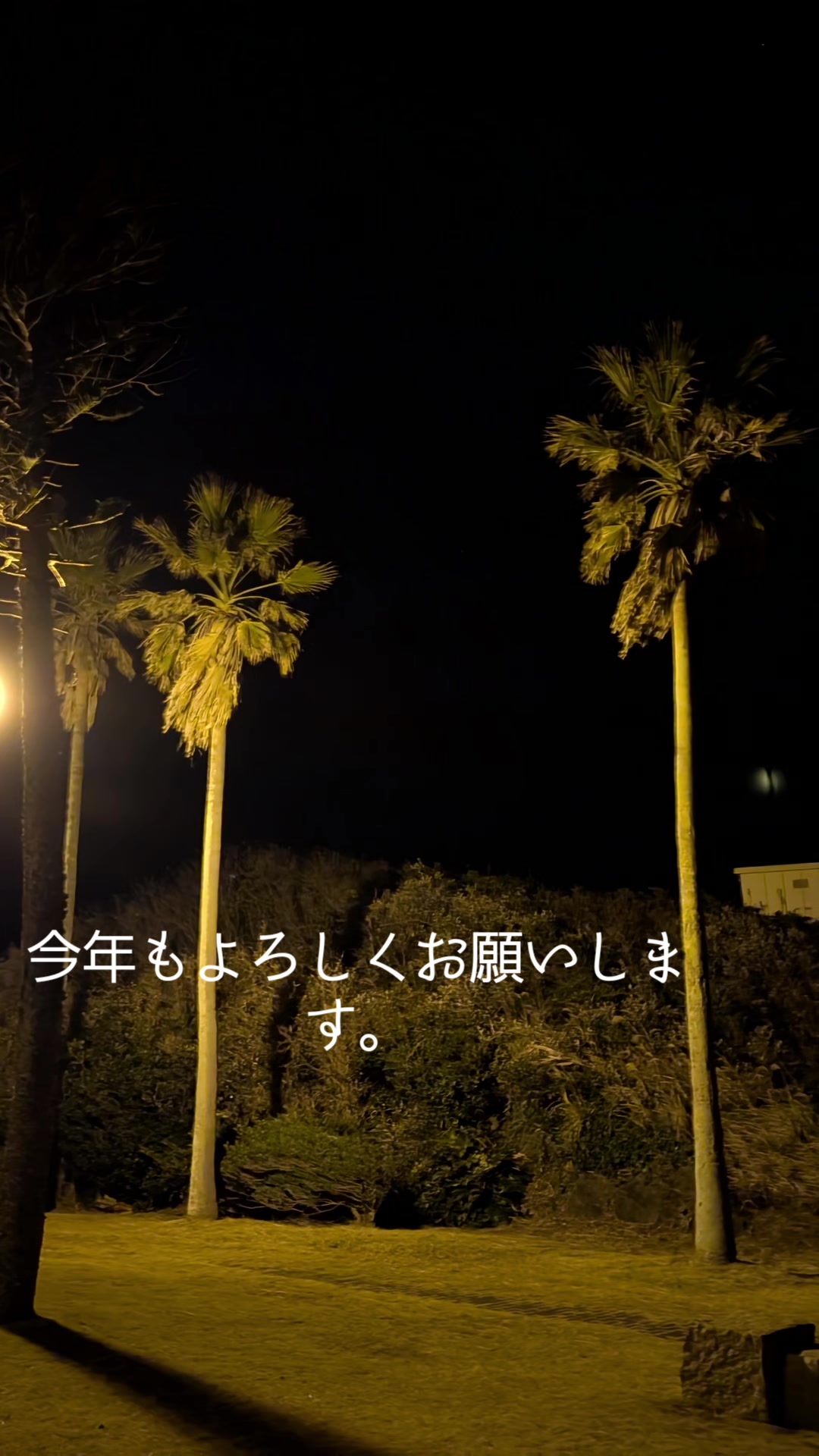 @🦋🍓タンタン🌱🦋