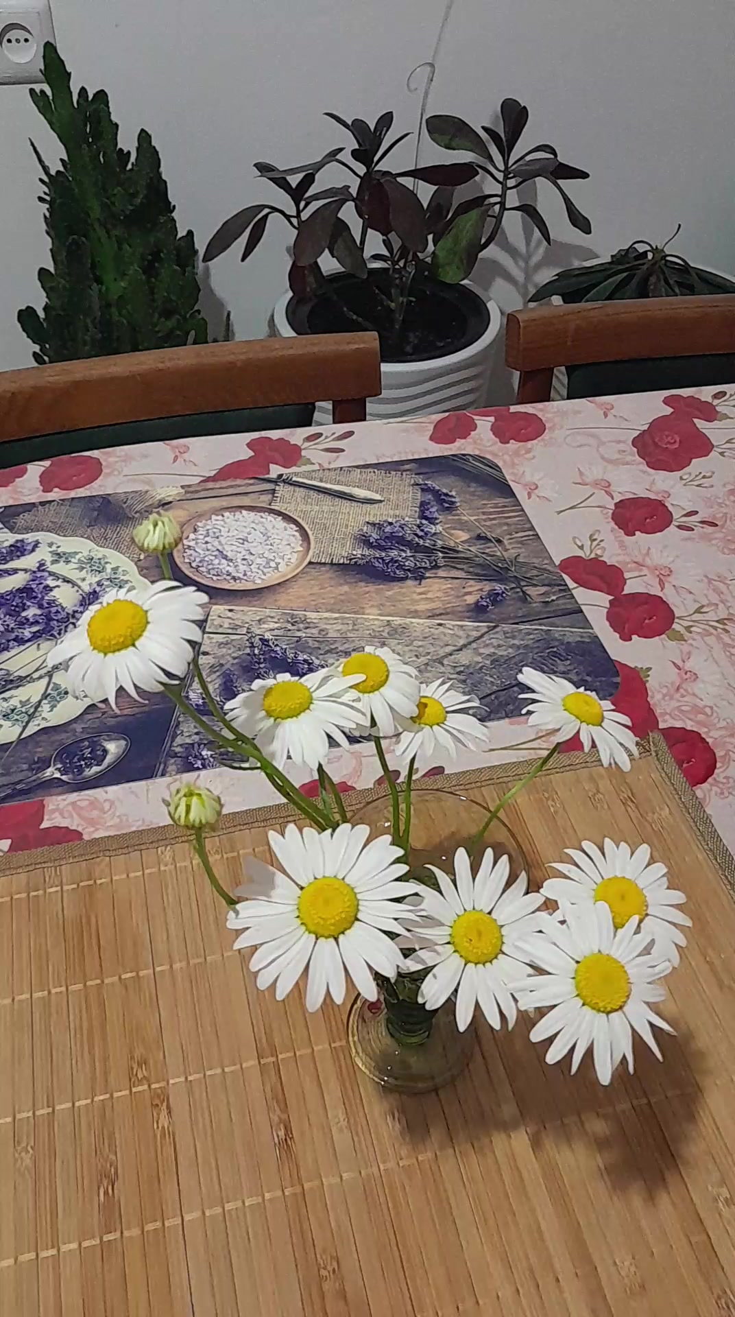 @Айкуш Аведисовна Маркосян