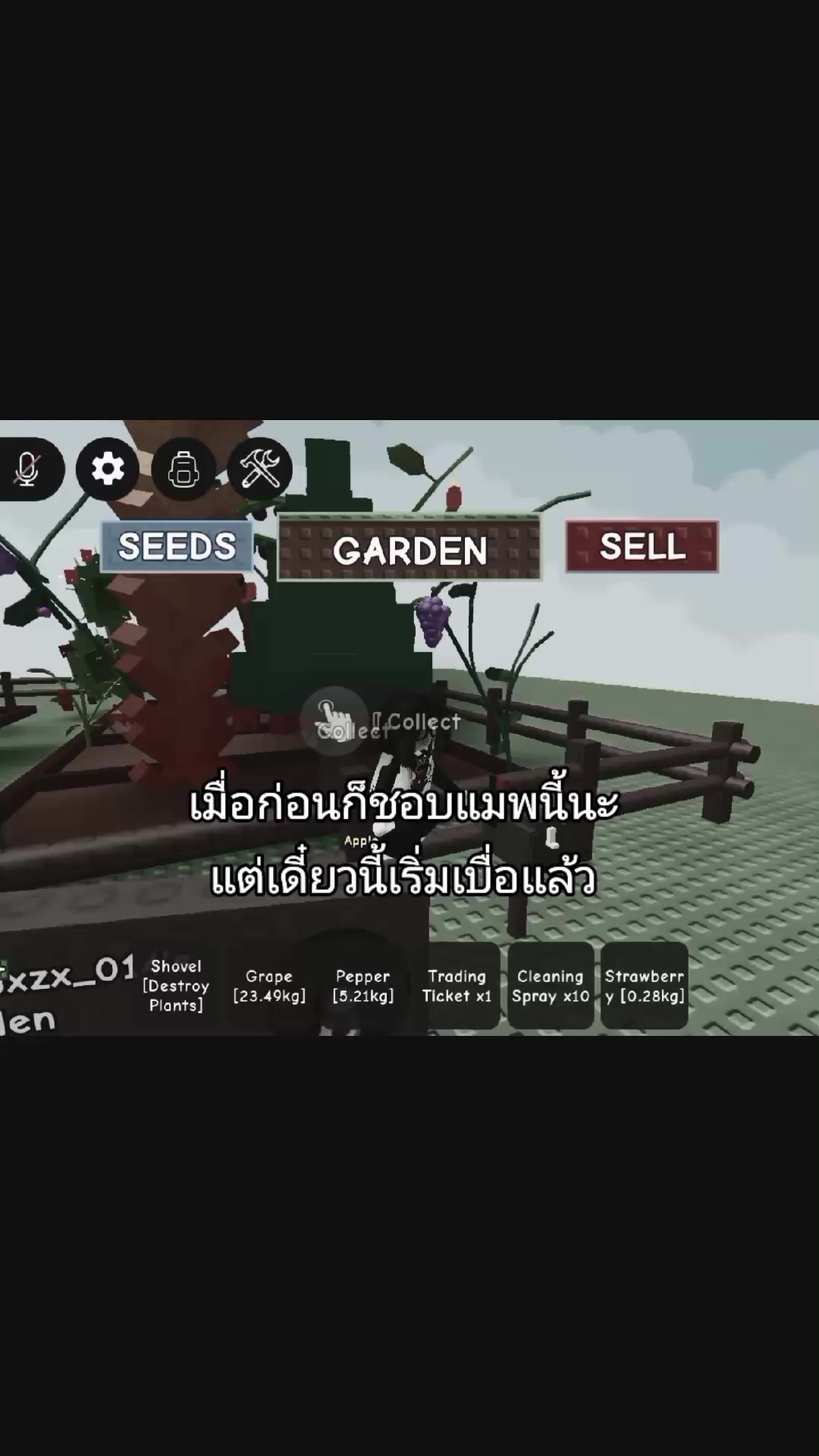 @อั ◌่ ย โบ ซิกเซเว่น 6️⃣7️⃣ิิ