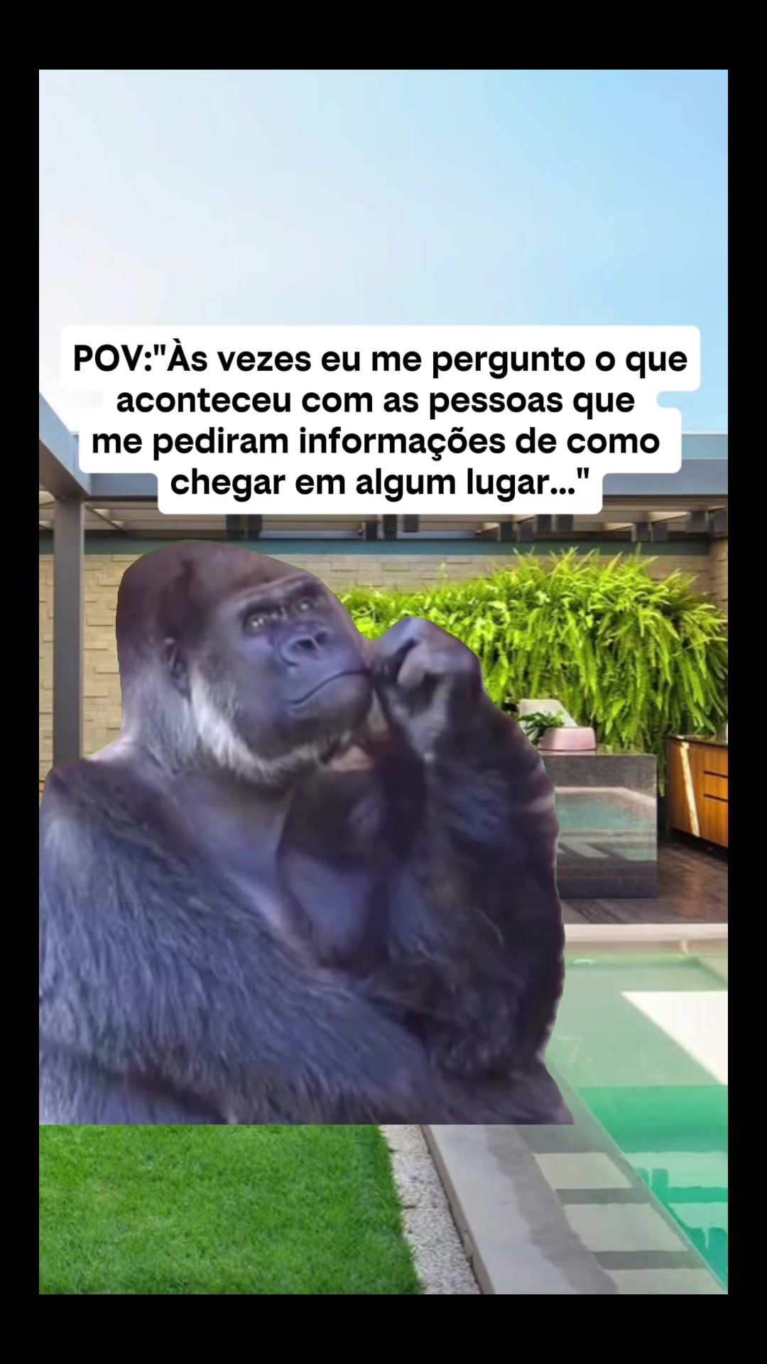 @Garimpei pra você