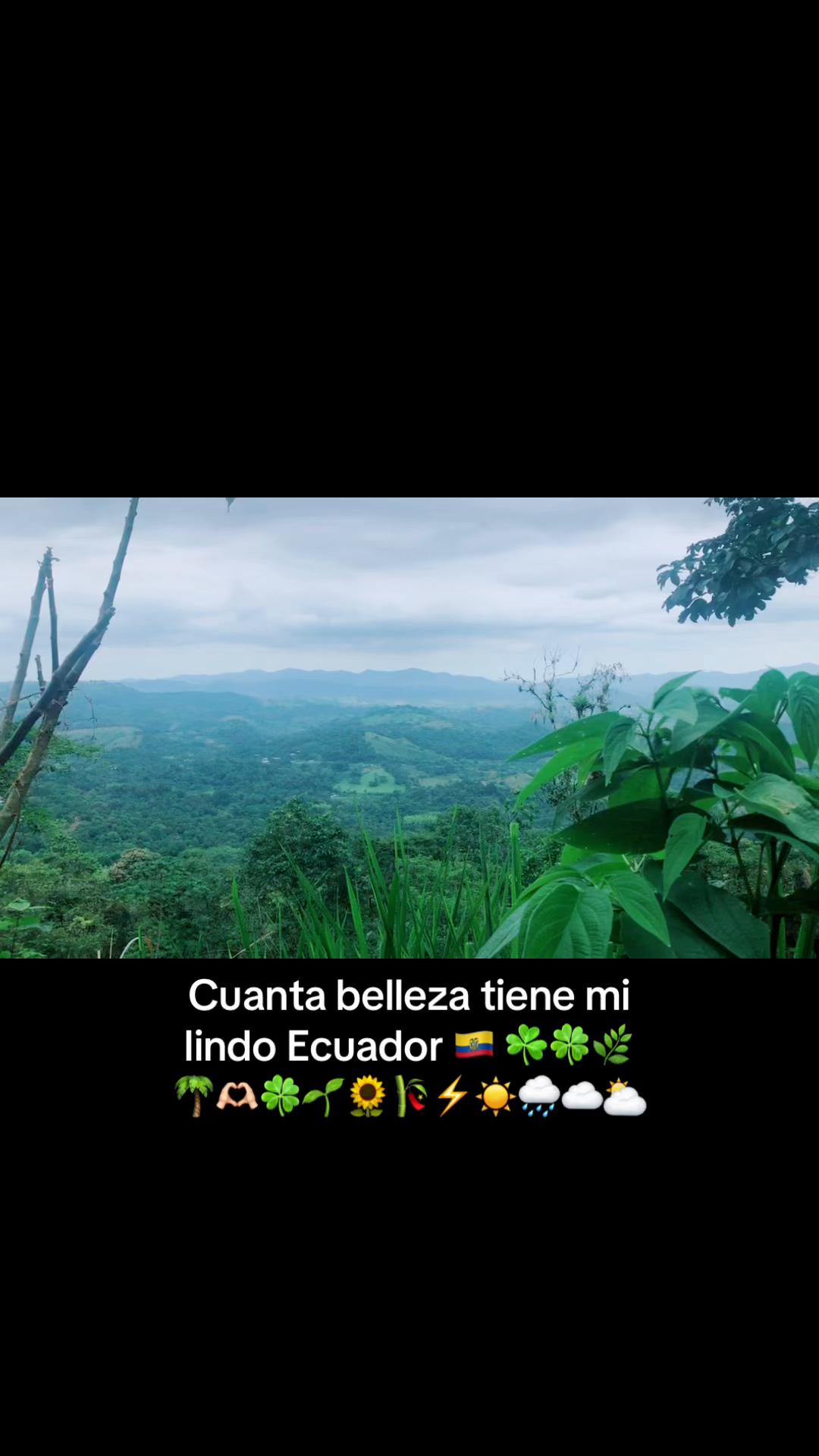 @❤️Jovita@7448🌞💚🌻🌵🌹
