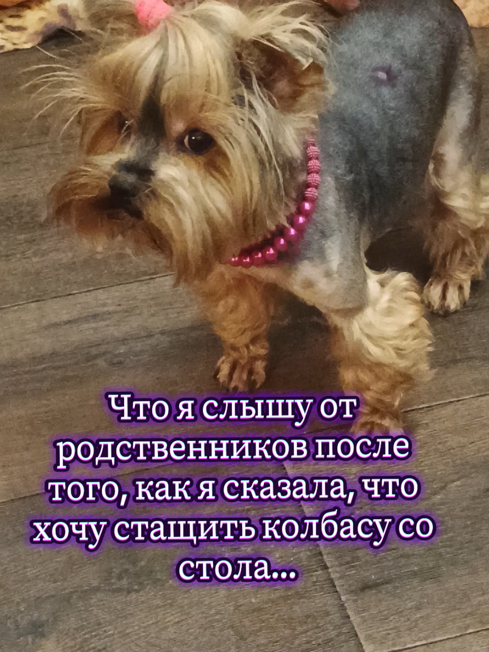 @Соня и Бетти ❤️