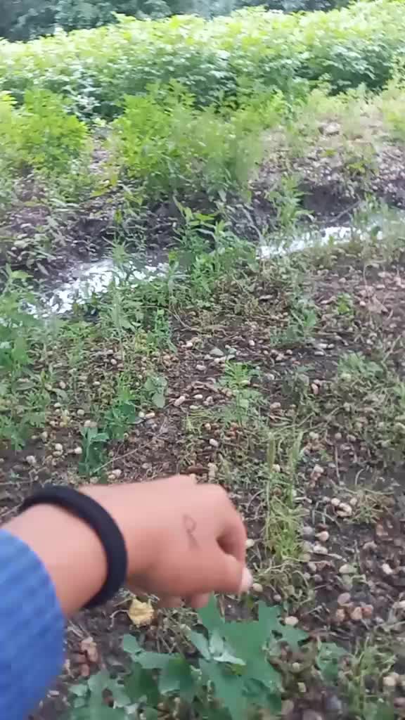 @tərtərldi_059