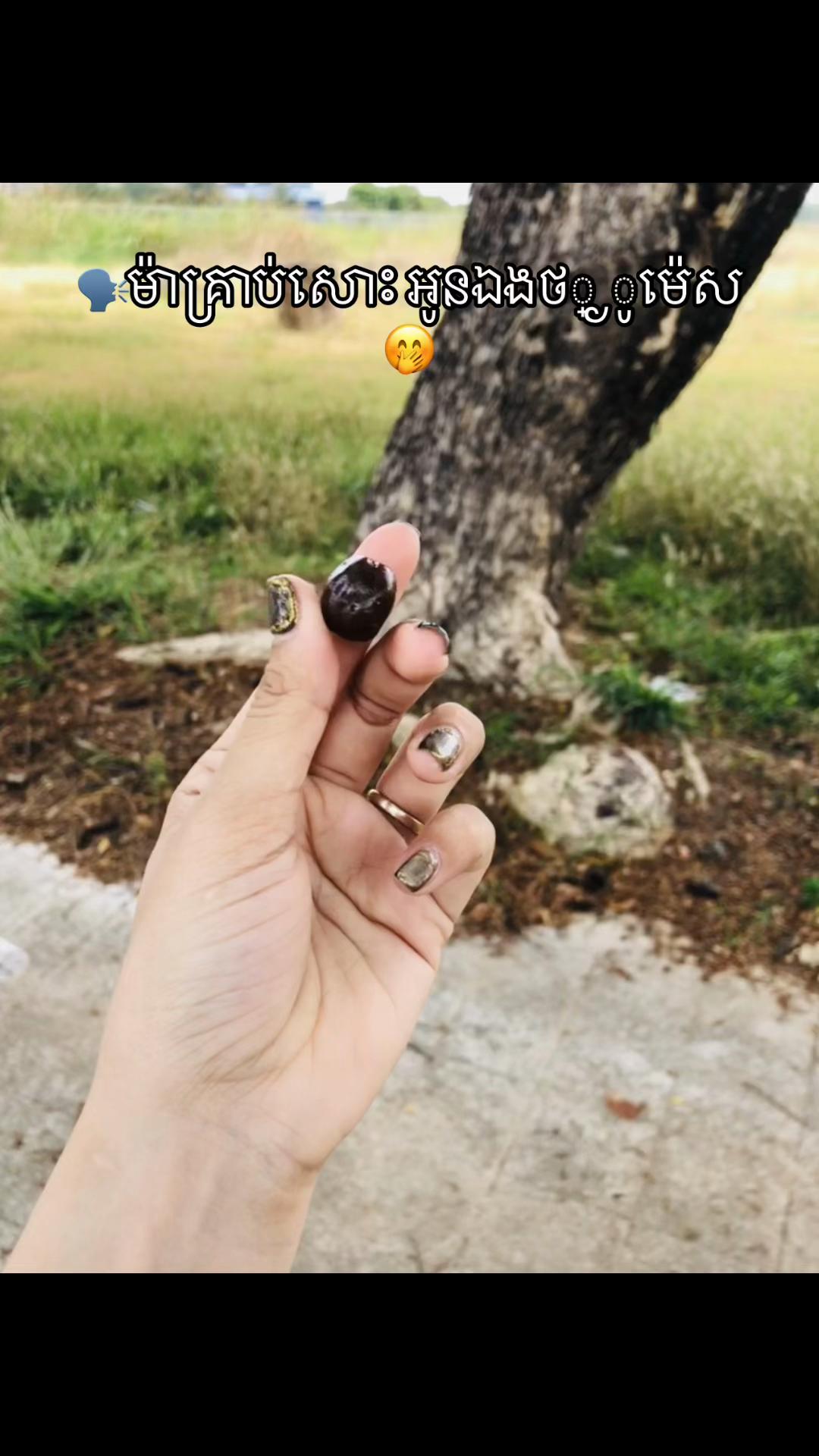 @Candy_Hamer