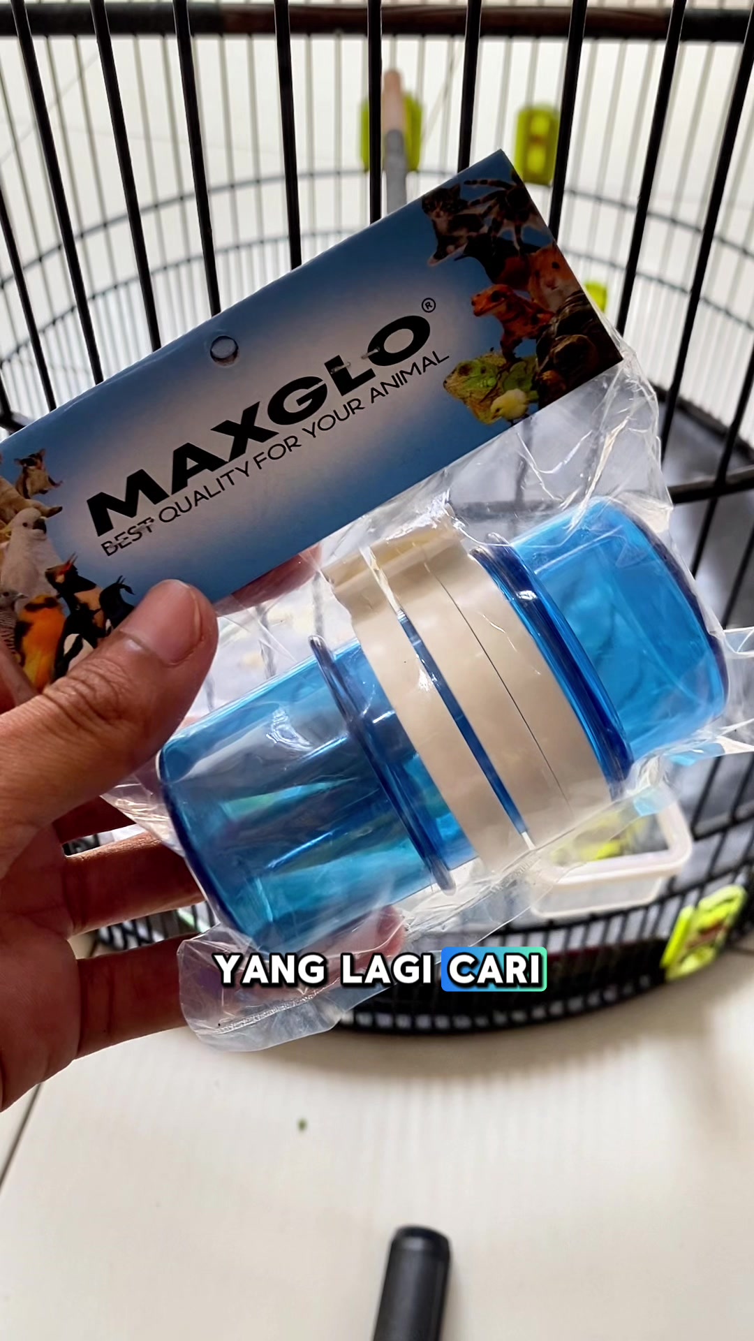 @kicau mart