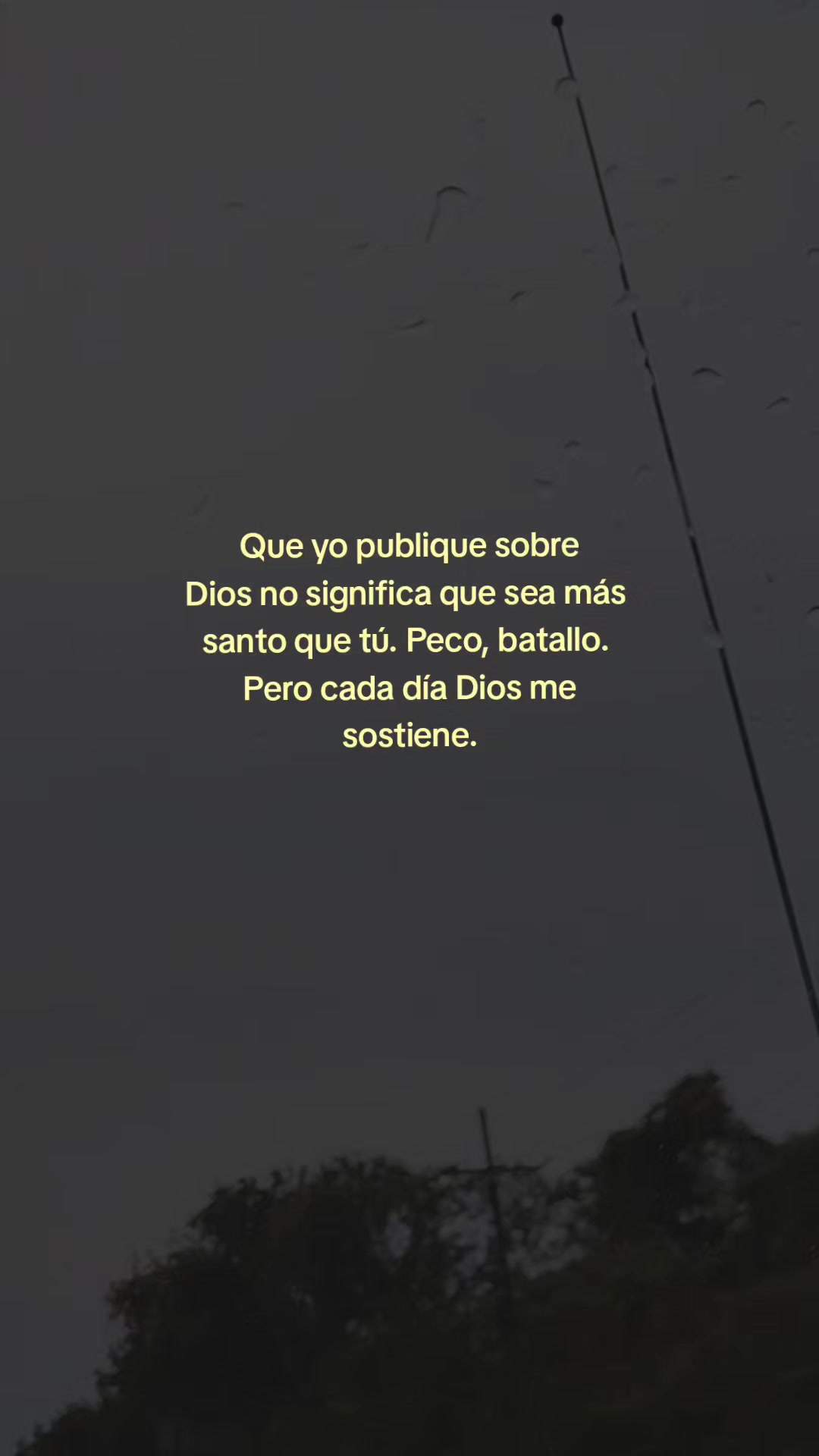 @Linda Cardona 🪼🪐