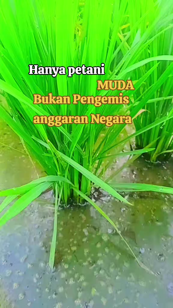 @📸Damar_Wulan🪡