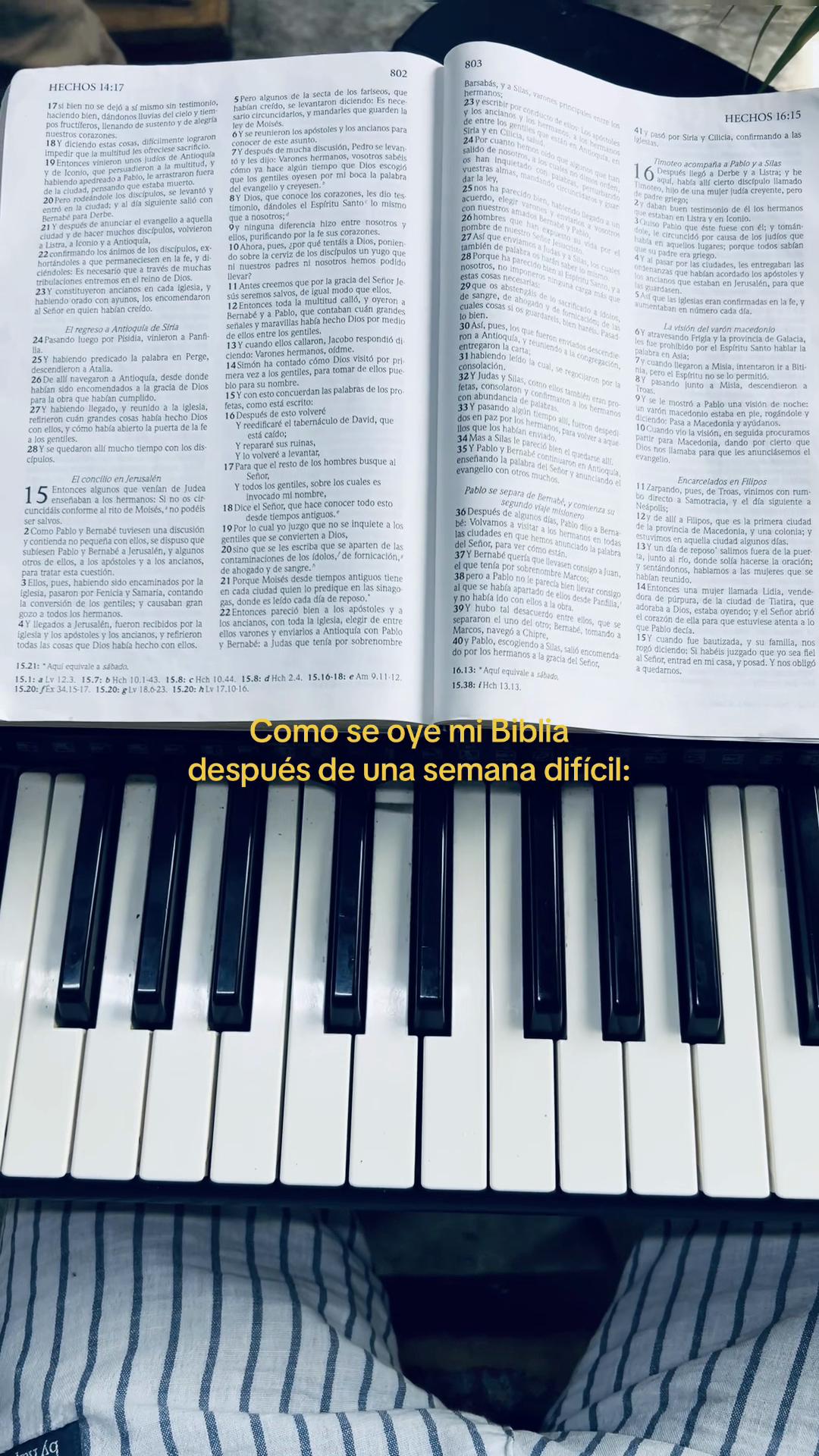 @Navy🎹