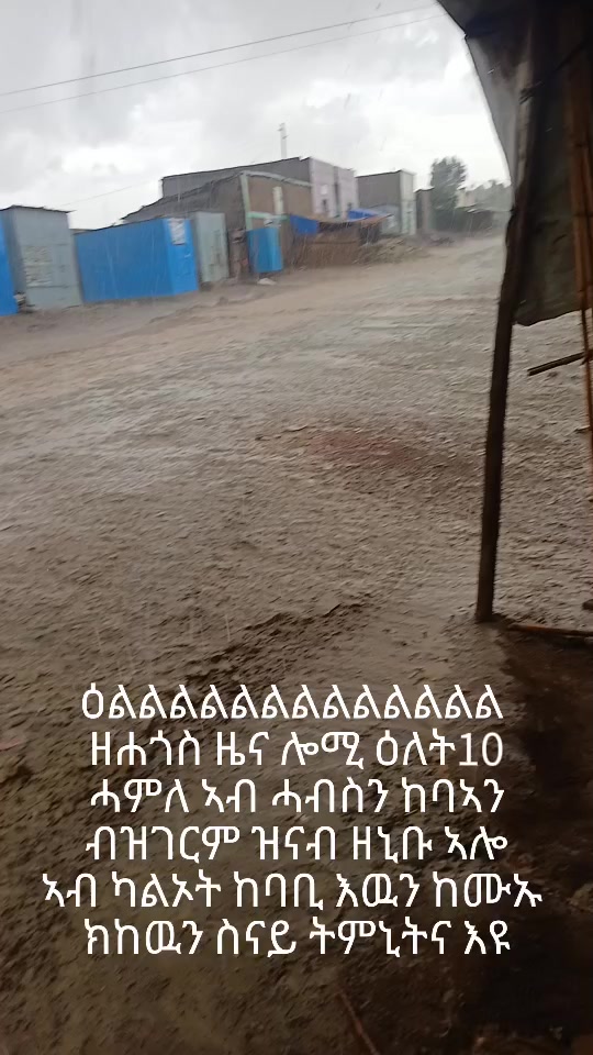 @step by step ዋልያ
