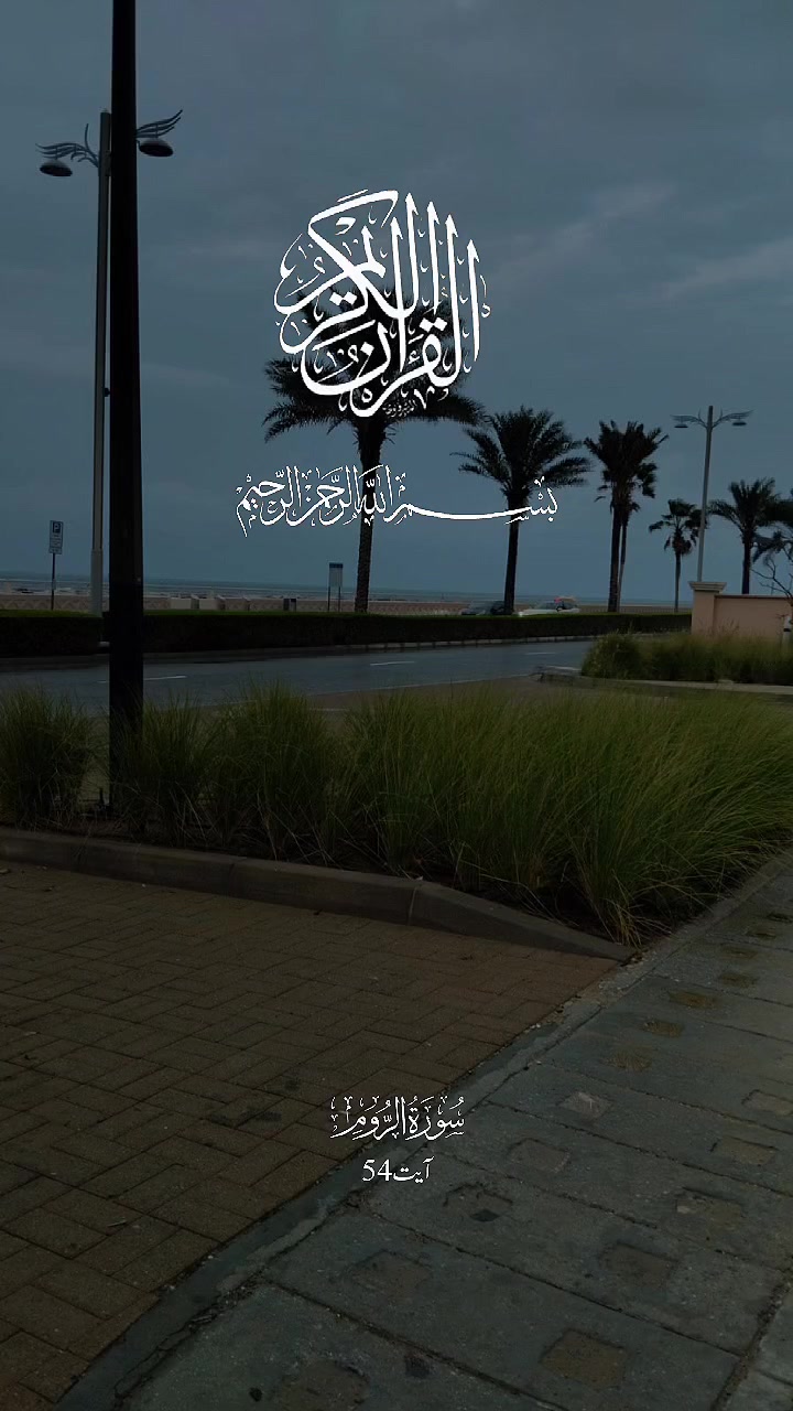 @🌈جنگلی لوگ🦅