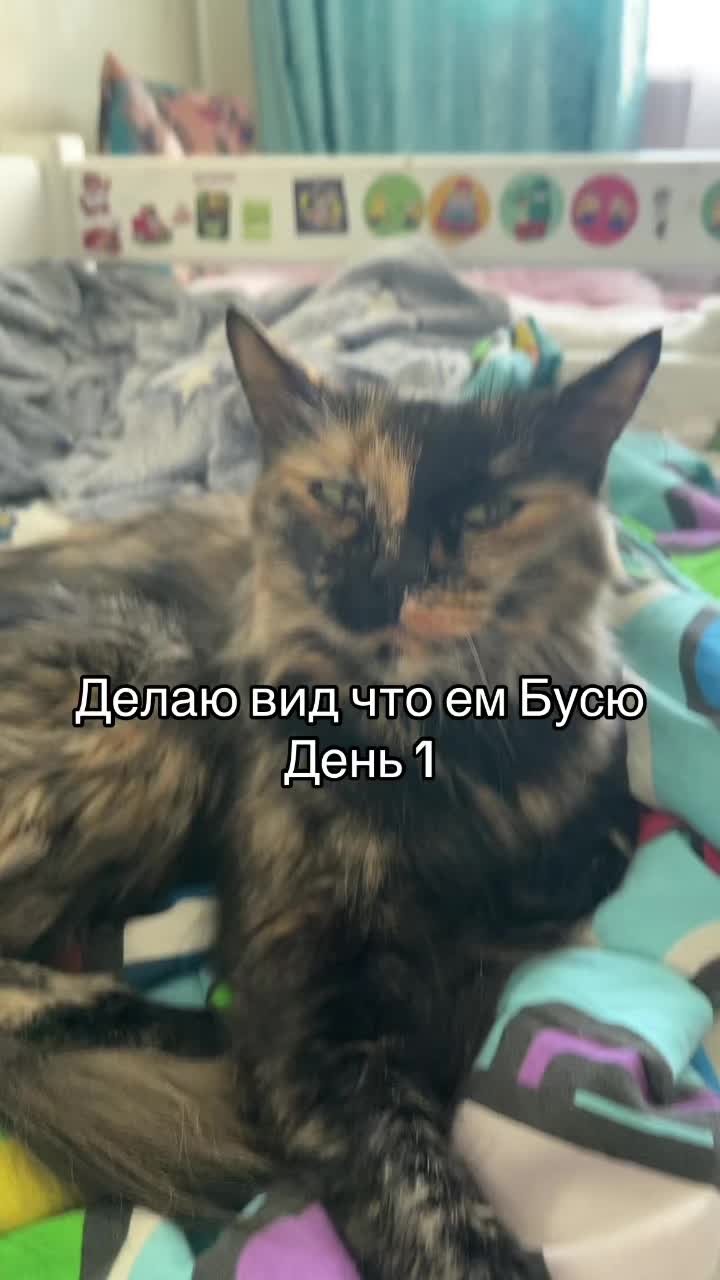 @🤍