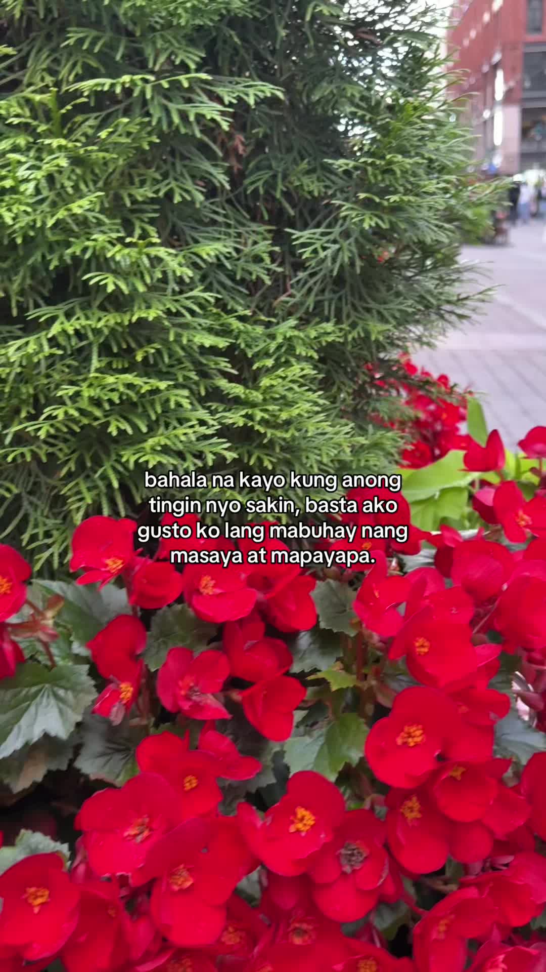 @Khen_🇫🇮🕷️