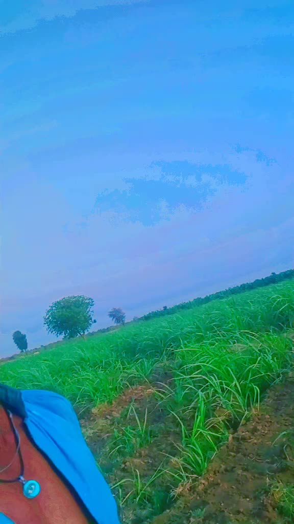 @mithou