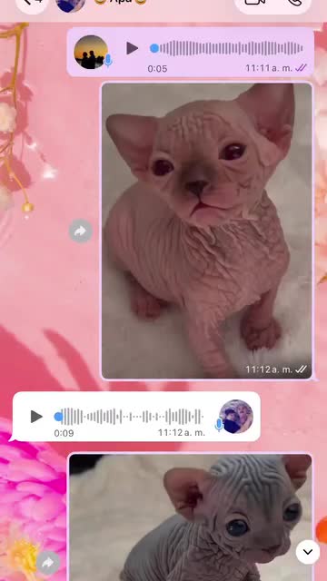 @🍓 Vanessa 🍒