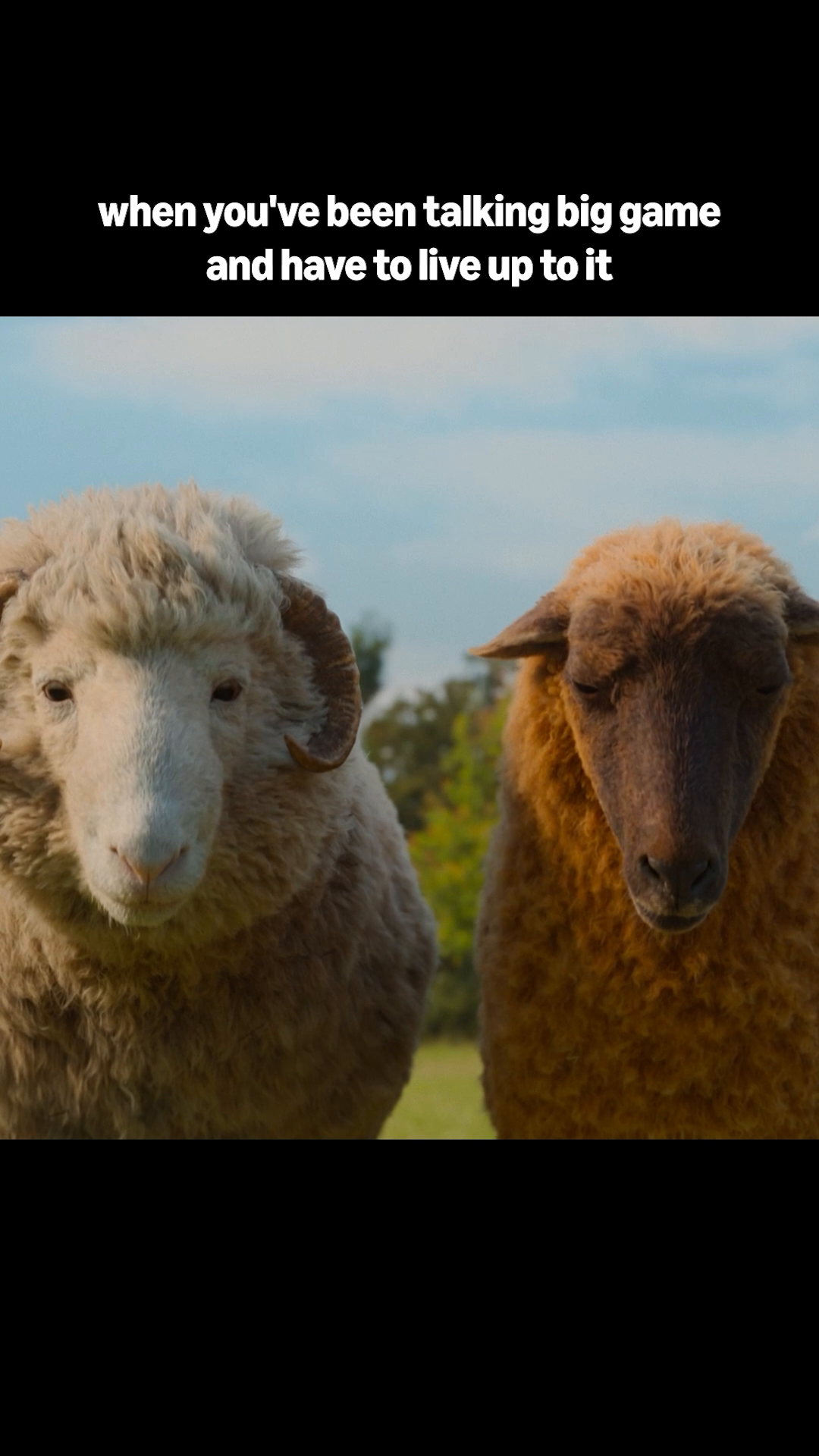@Prime Video AU & NZ