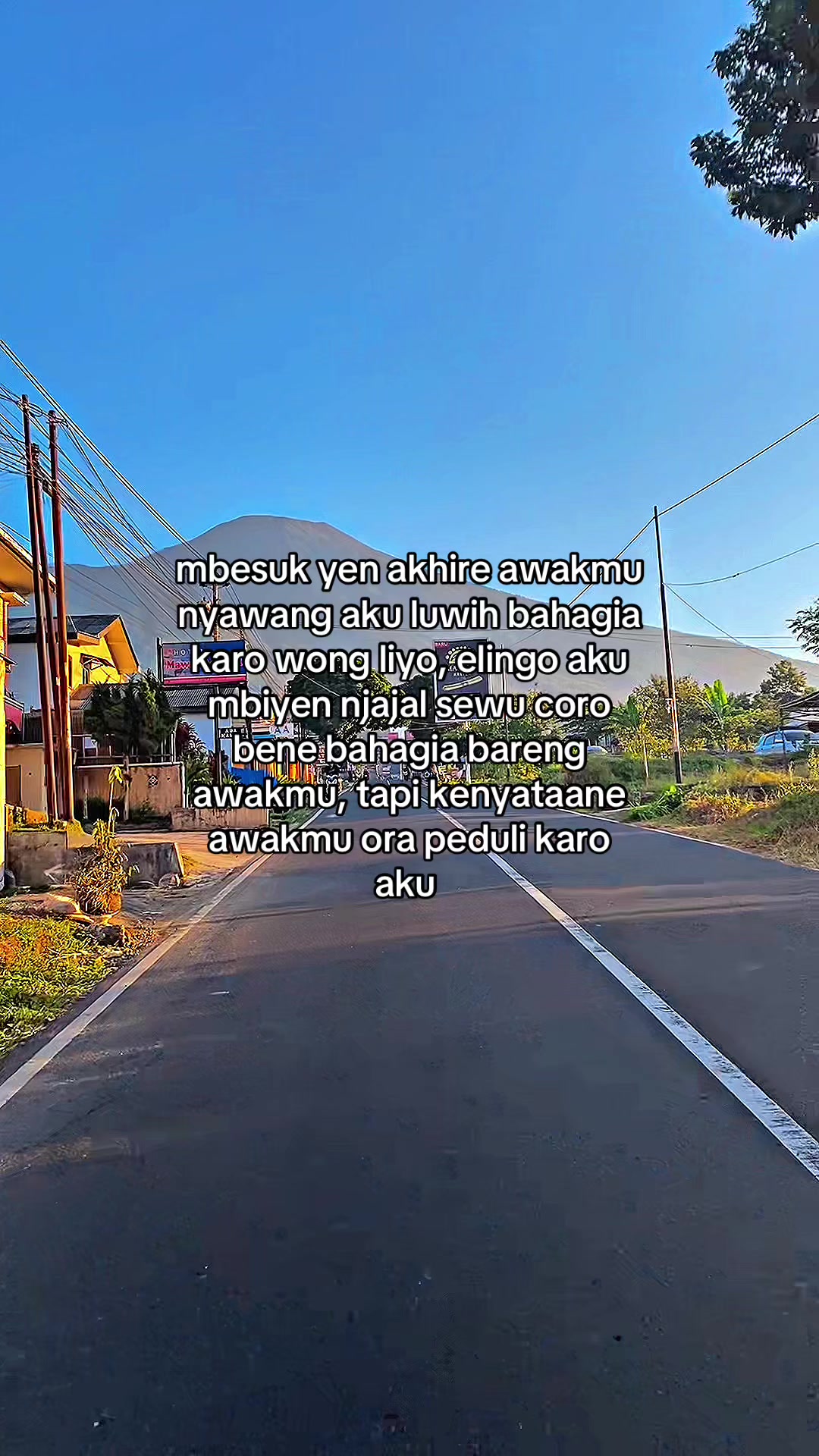 @Momoo