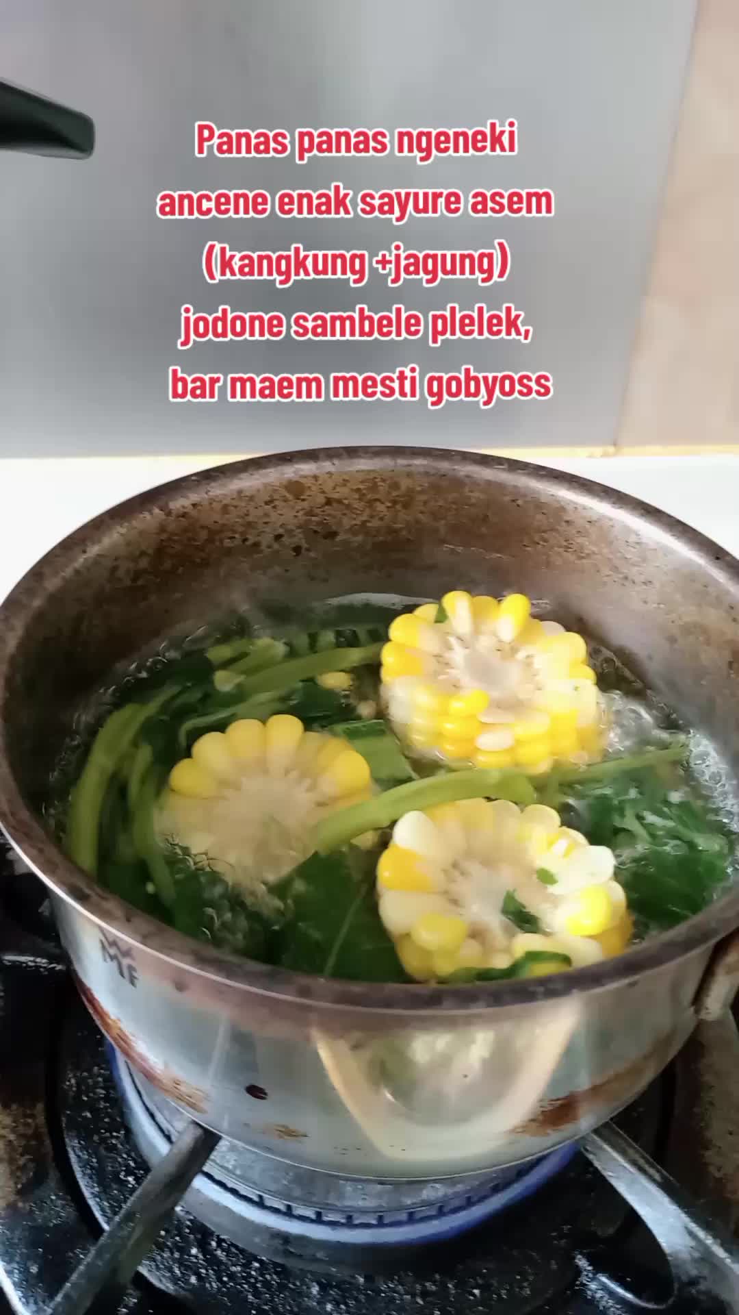 @Kamboja ungu